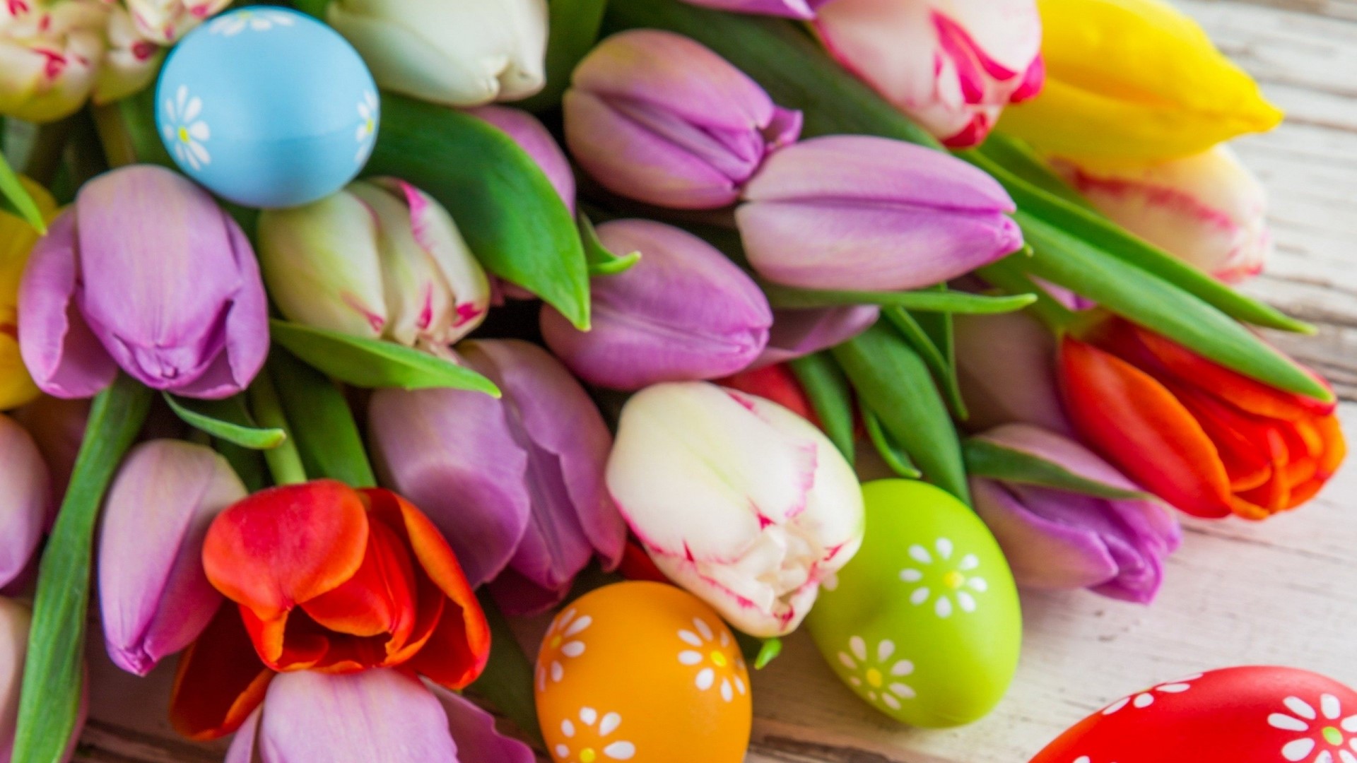 Easter Eggs and Tulip Flowers HD Wallpaper