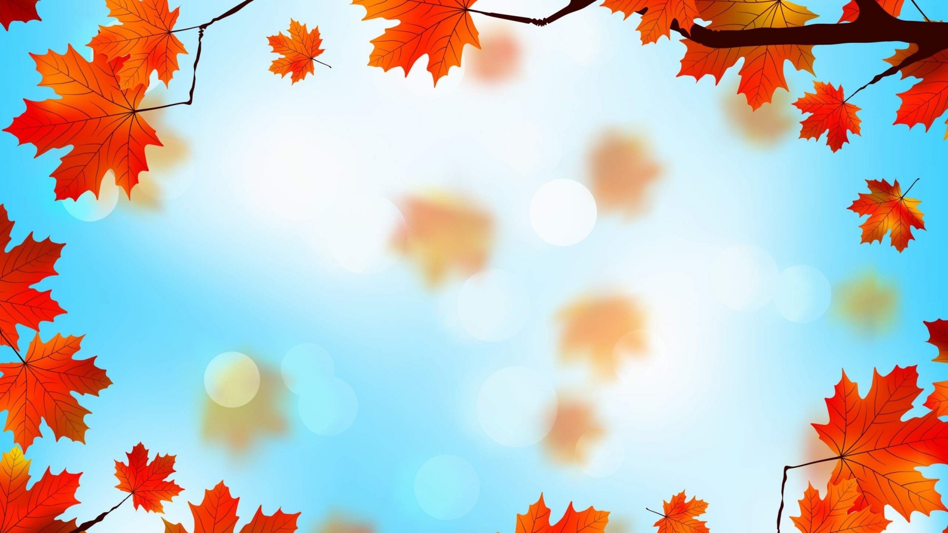 Autumn Maple Leaves on Blue Sky HD Wallpaper