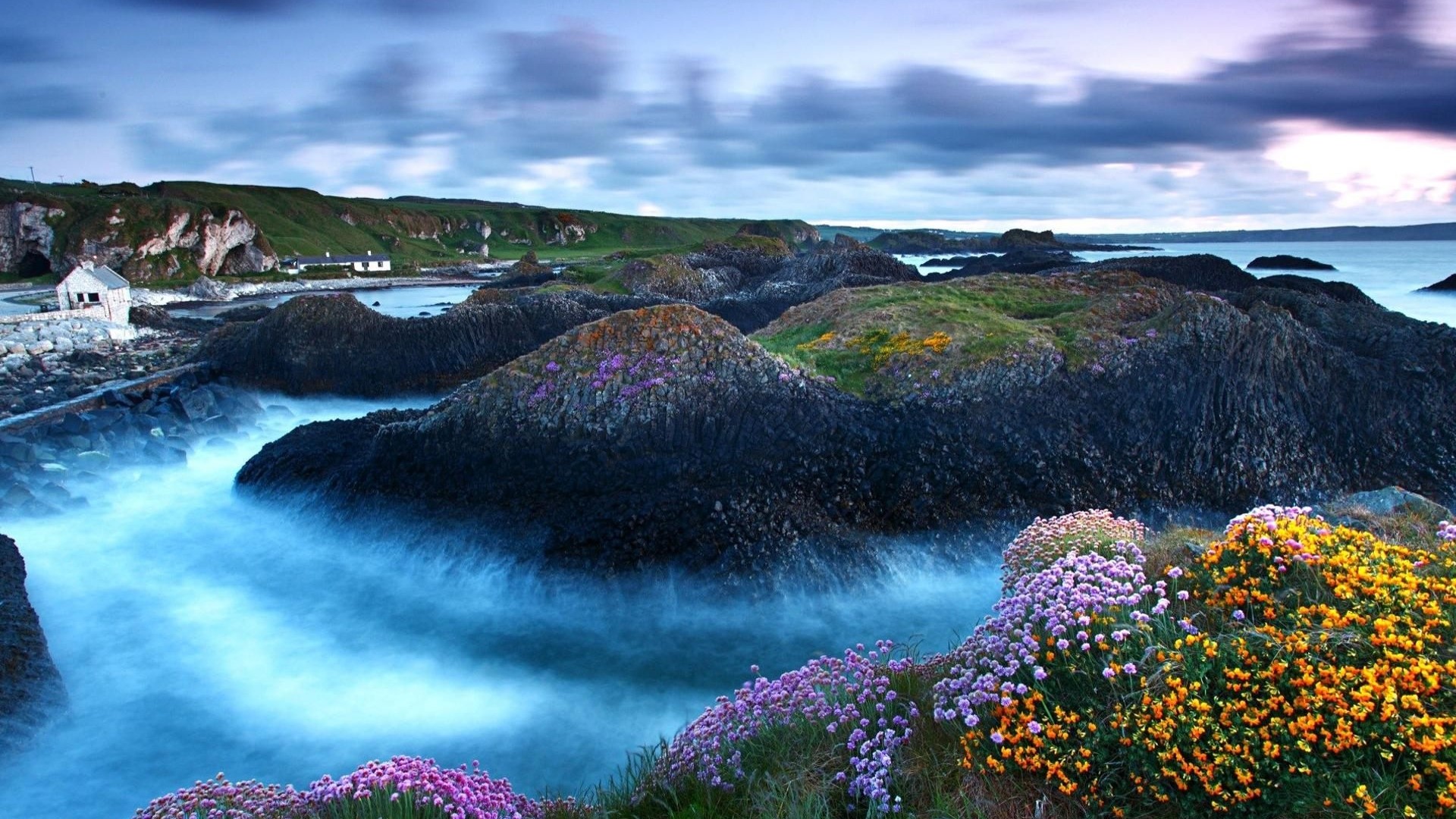 Coastal landscape with basalt columns and flowers HD Wallpaper