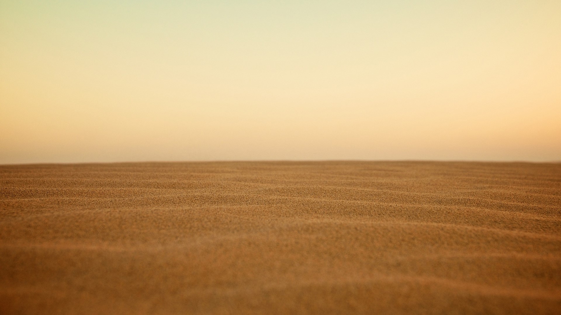 Sand dunes under a pale sky HD Wallpaper