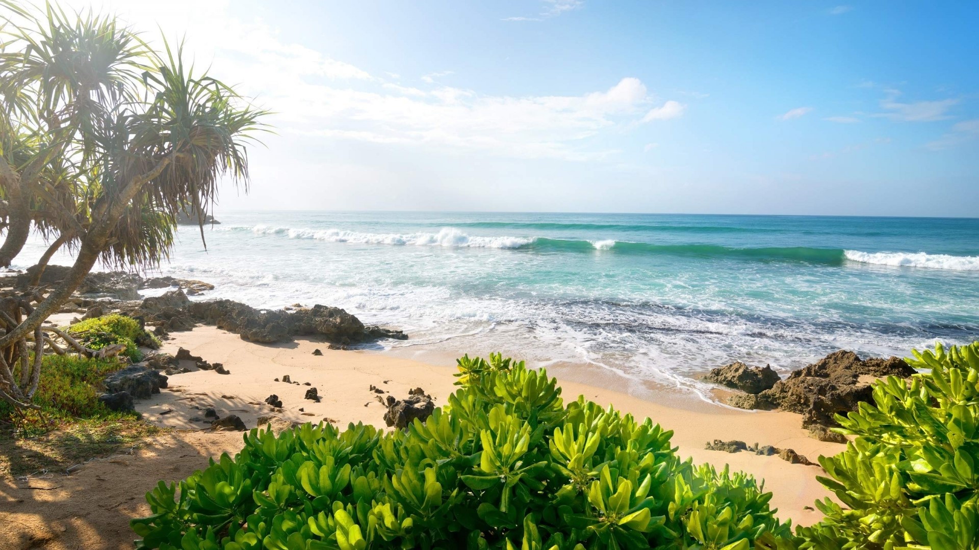 Tropical Beach with Palm Trees and Ocean Waves HD Wallpaper
