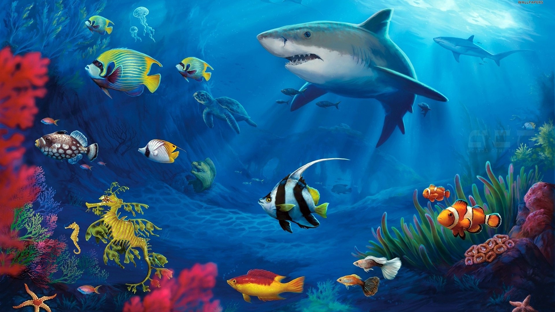 Underwater life with sharks and colorful fish HD Wallpaper