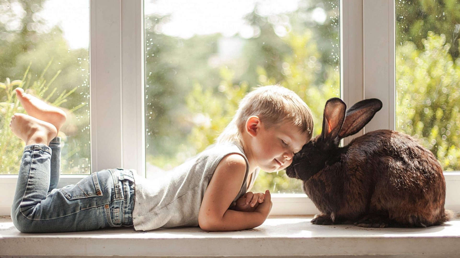 Boy and Rabbit on a Windowsill HD Wallpaper