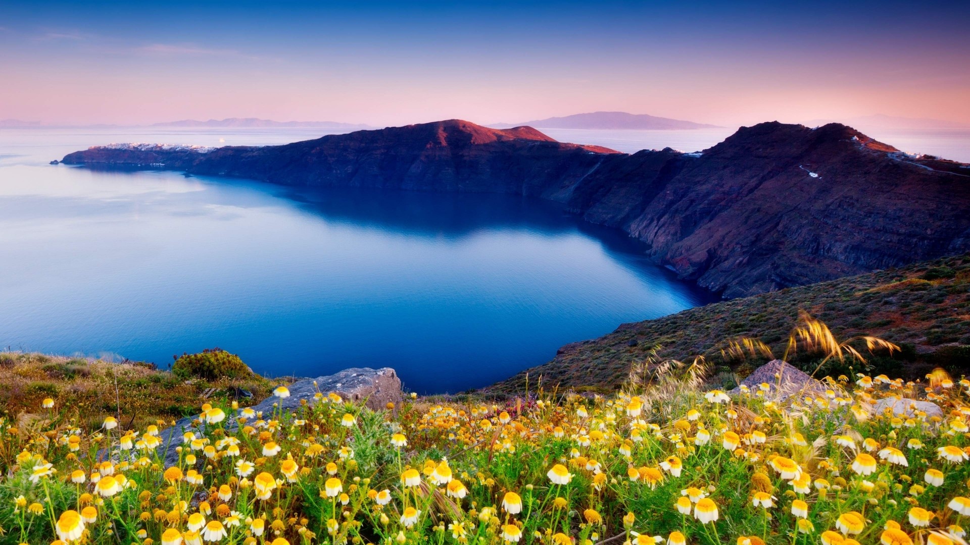 Sea Coast Landscape with Flowers HD Wallpaper