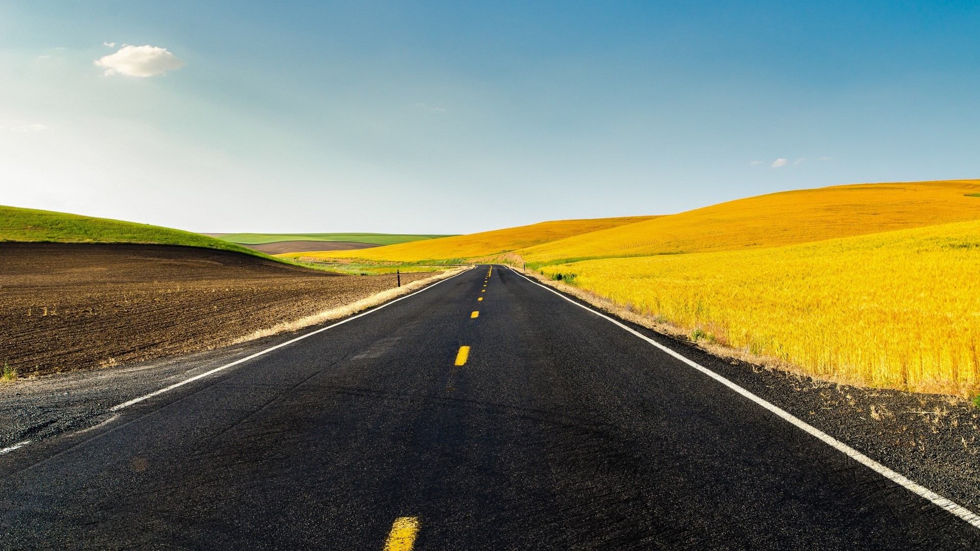Road through rolling farmland with yellow crops HD Wallpaper