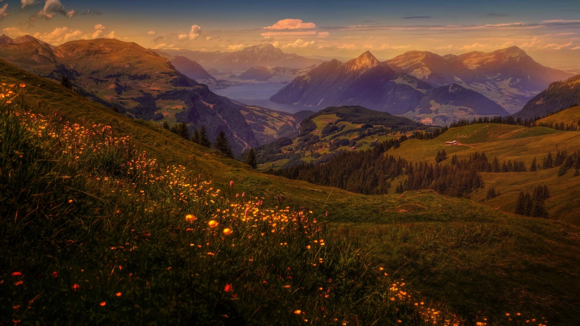 Mountain Flowers Scenery with Lake and Peaks HD Wallpaper