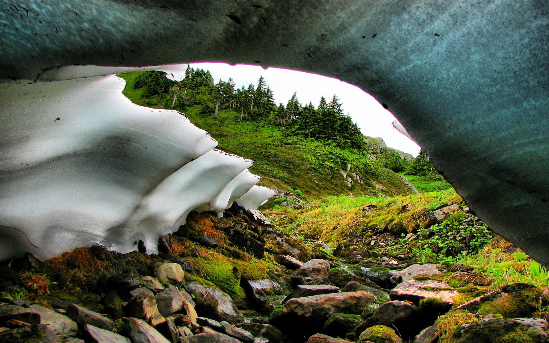 View from inside a snow cave looking out at a green mountain slope HD Wallpaper