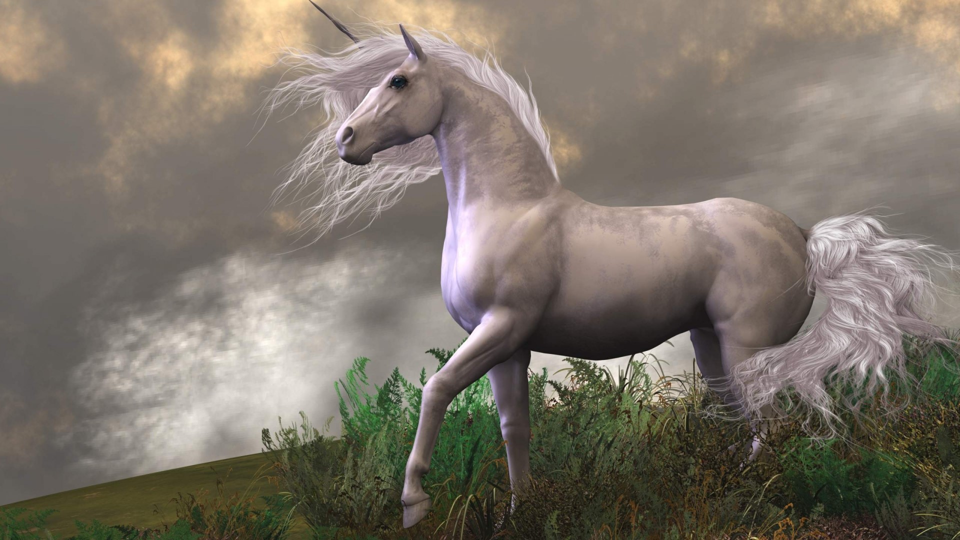 White Unicorn in a Grassy Field HD Wallpaper