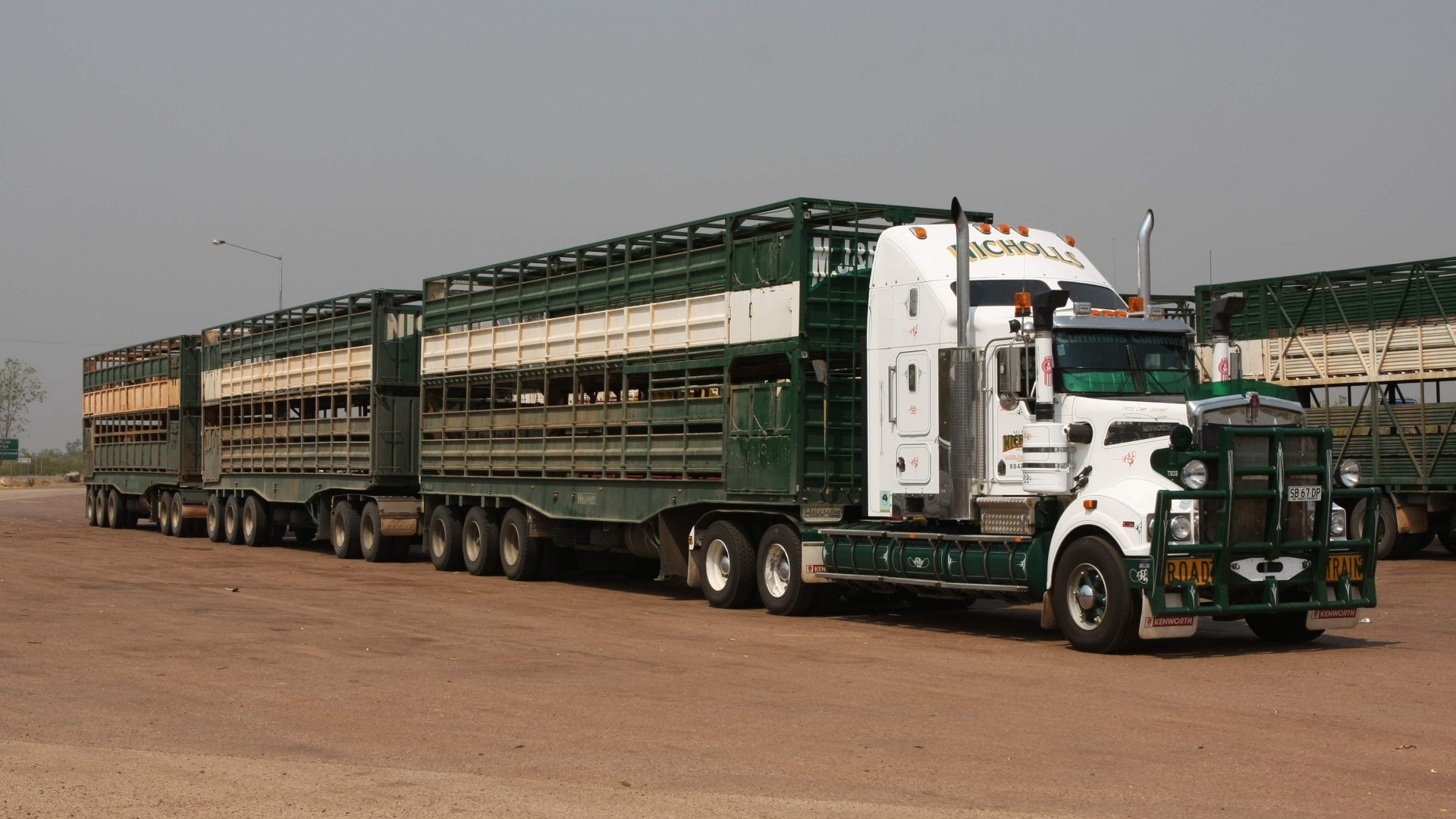 Kenworth truck with livestock trailers HD Wallpaper