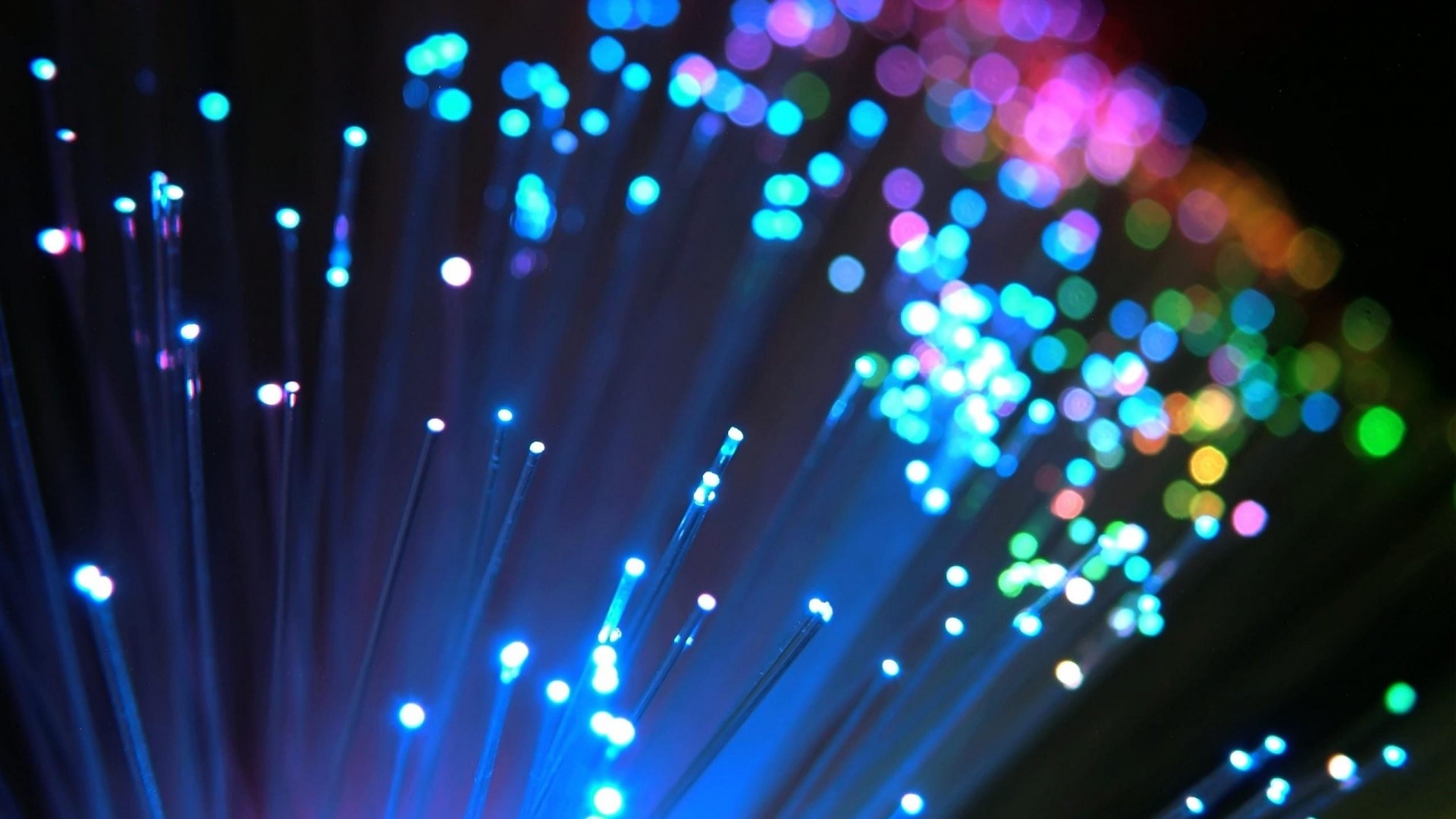 Close-up of illuminated optical fibers HD Wallpaper