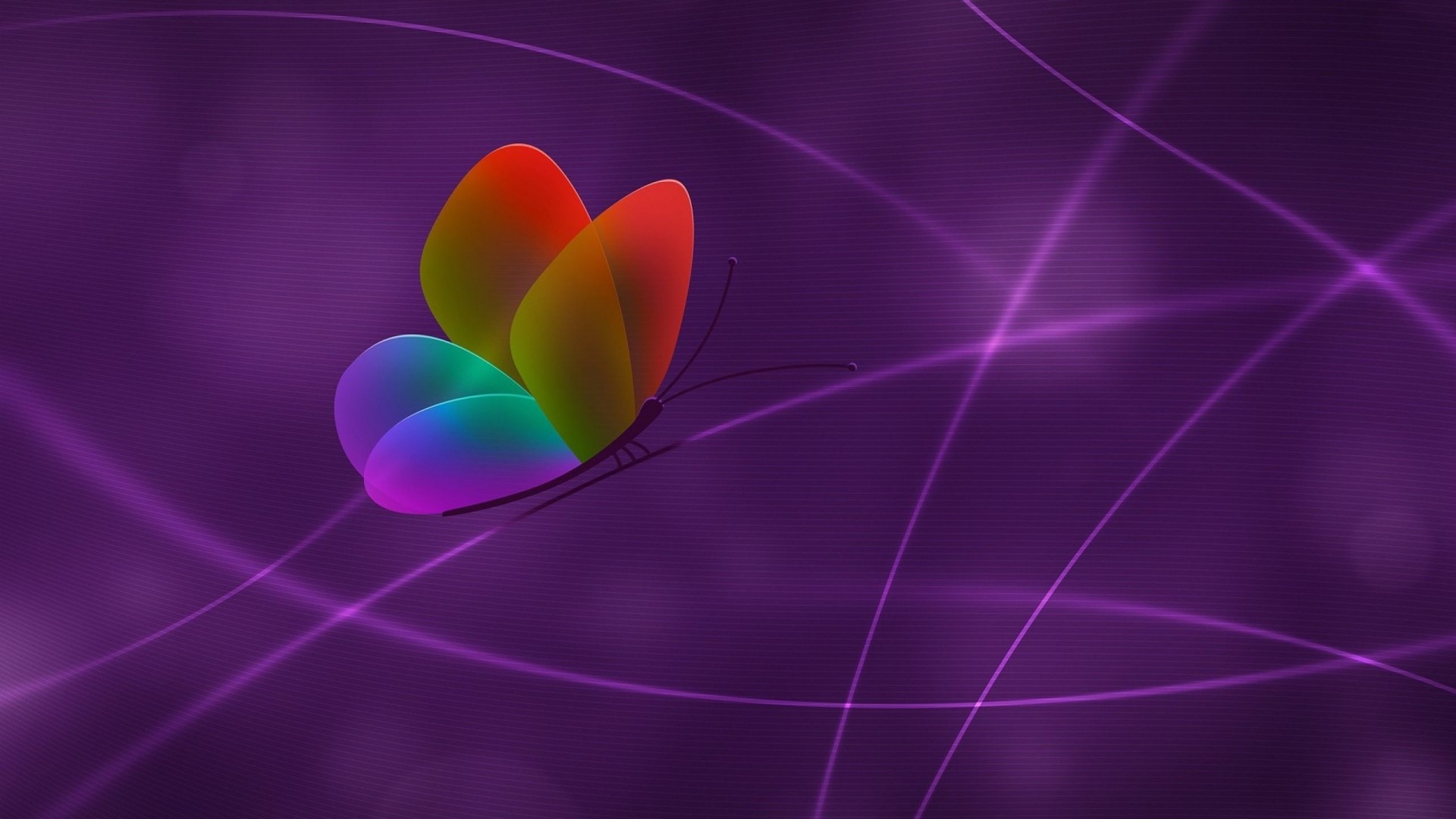 Rainbow Butterfly Logo HD Wallpaper