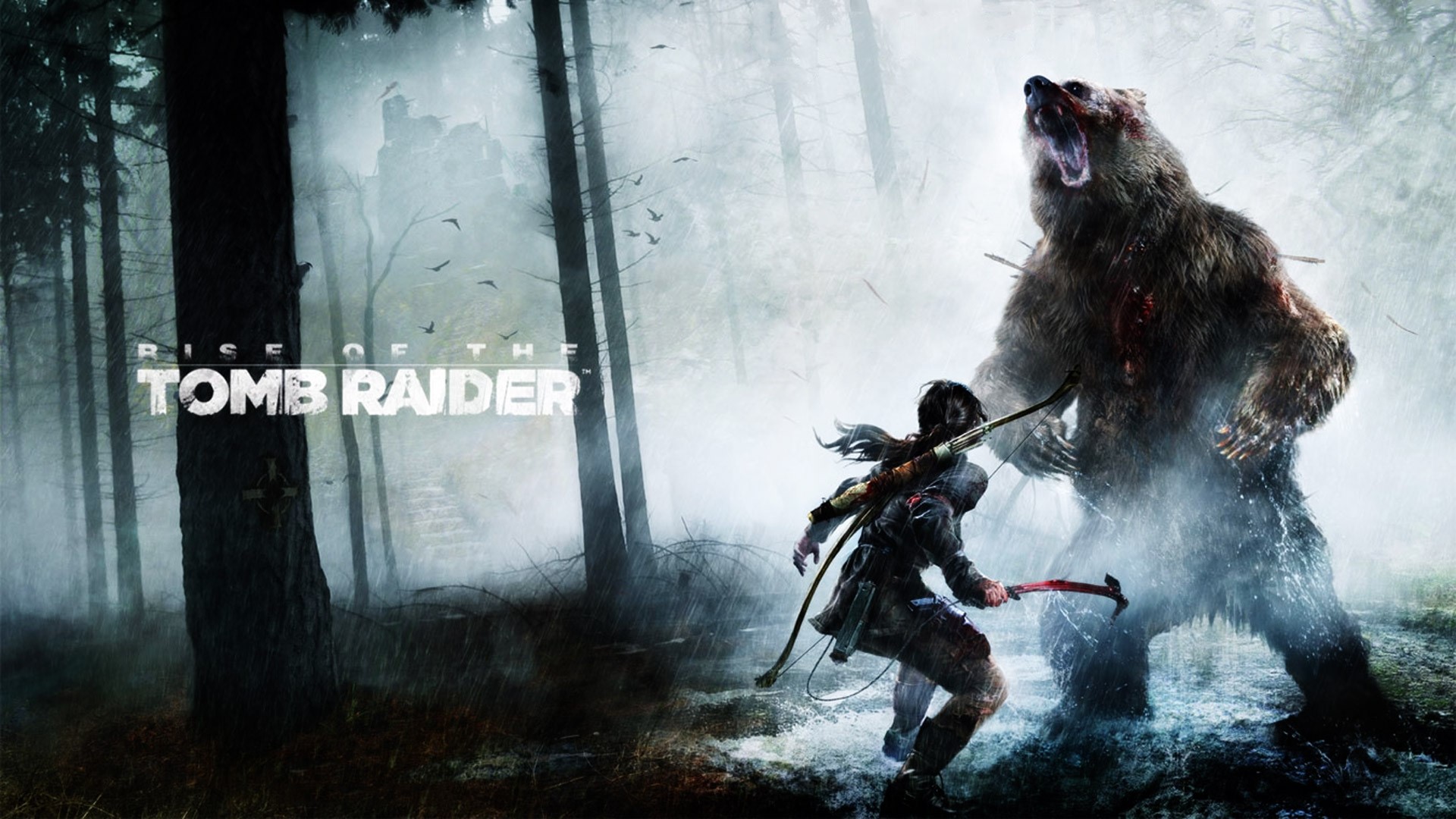 Lara Croft fighting a bear in Rise of the Tomb Raider HD Wallpaper