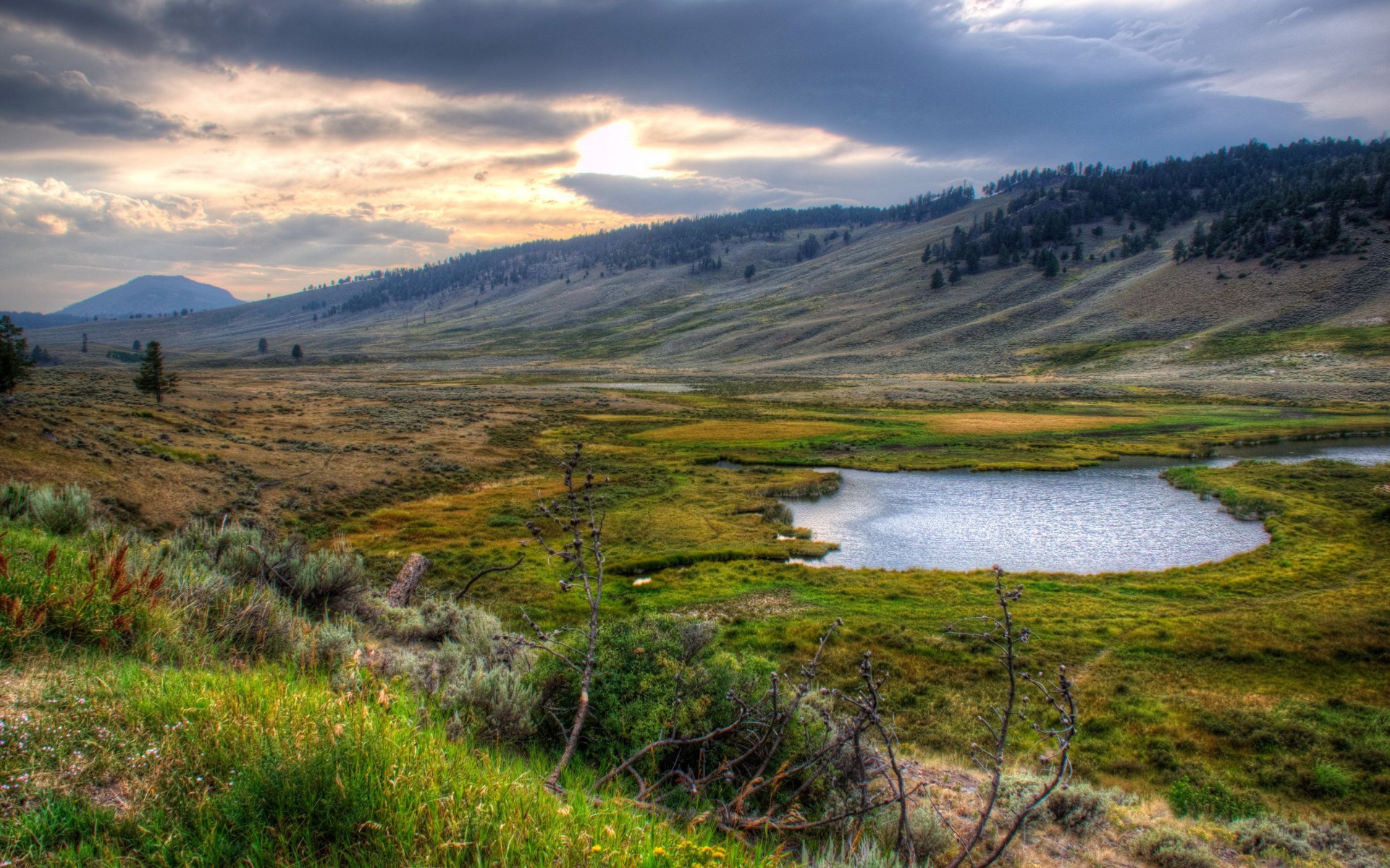Valley with a winding river and rolling hills HD Wallpaper