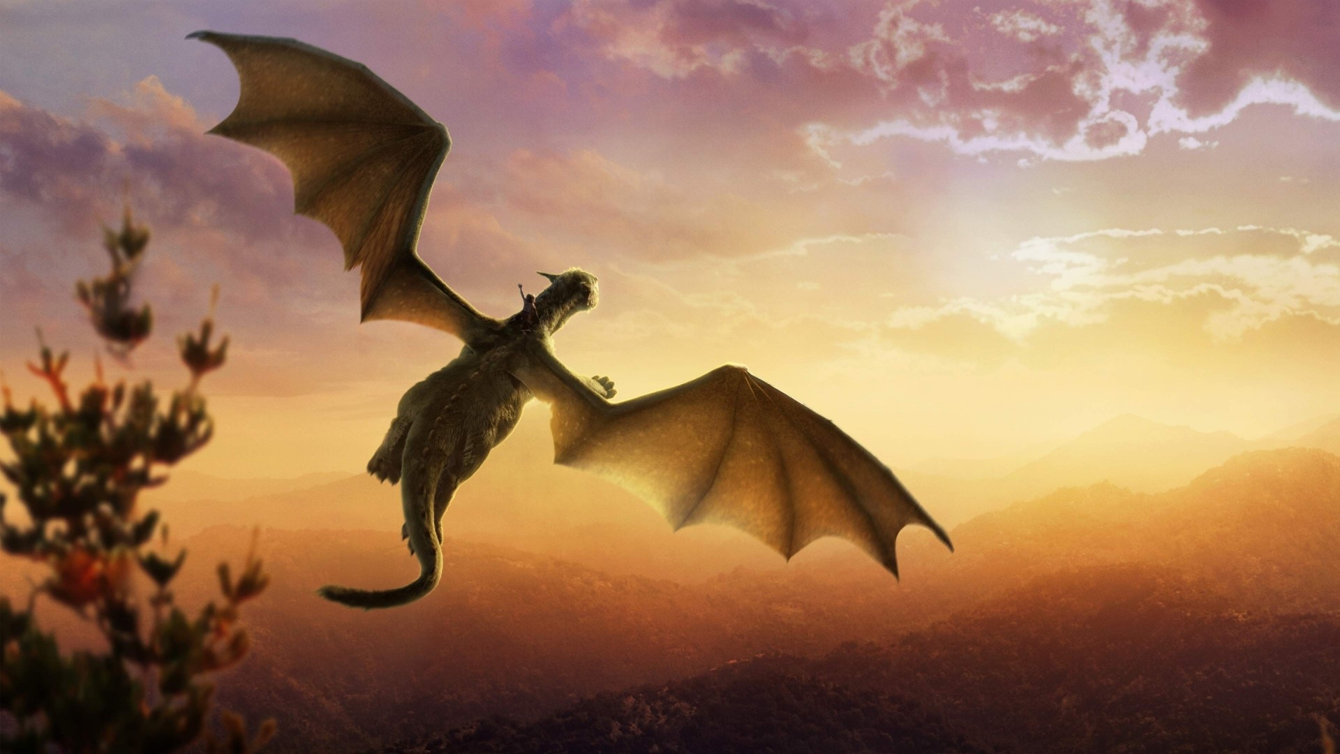 Dragon flying over mountains at sunset HD Wallpaper