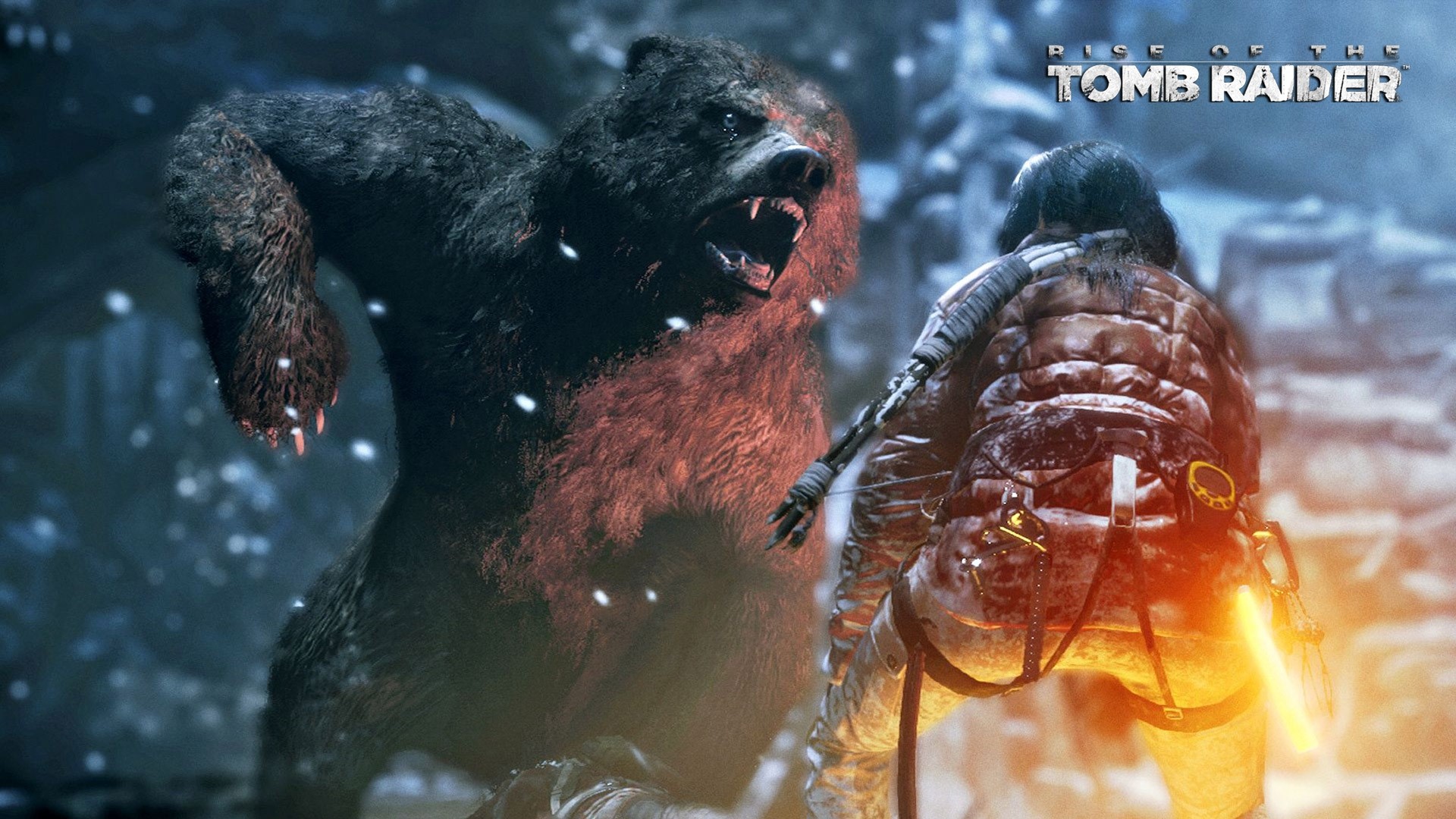 Lara Croft fighting a bear in Rise of the Tomb Raider HD Wallpaper