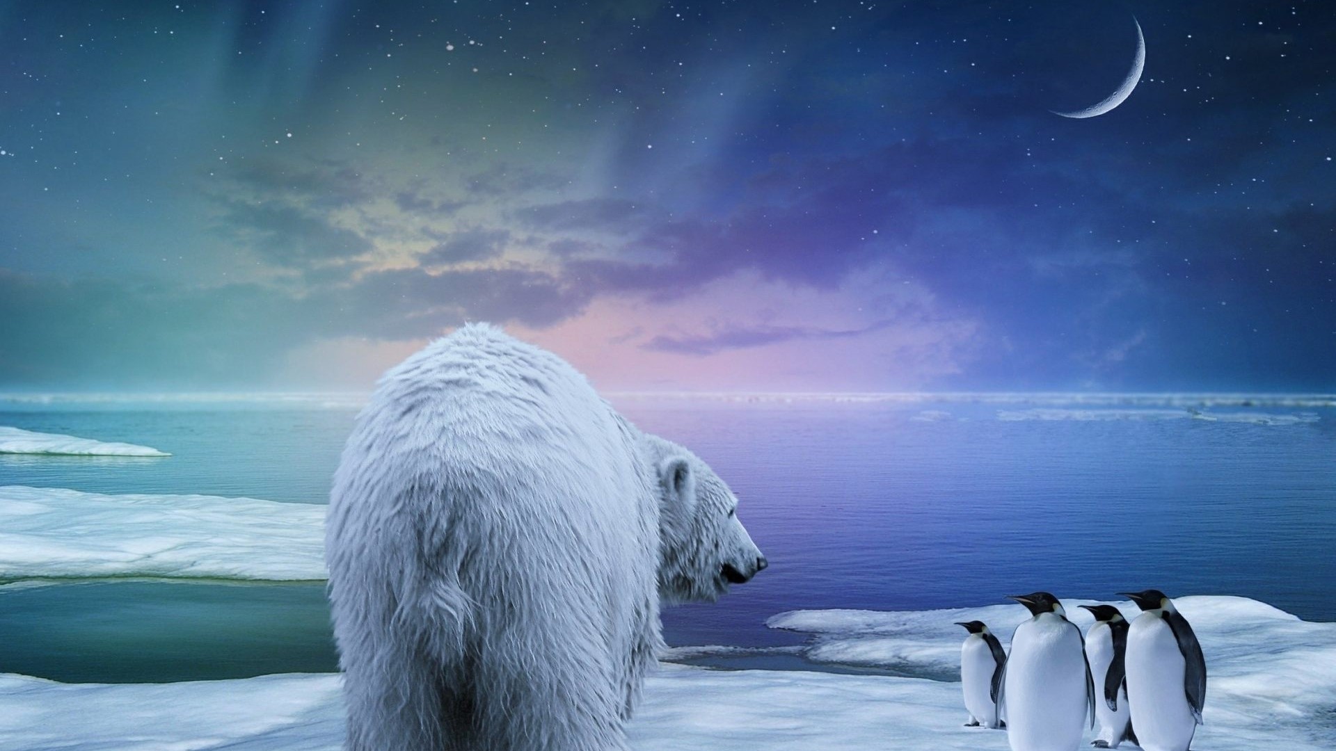 Polar Bear and Penguins under Northern Lights HD Wallpaper