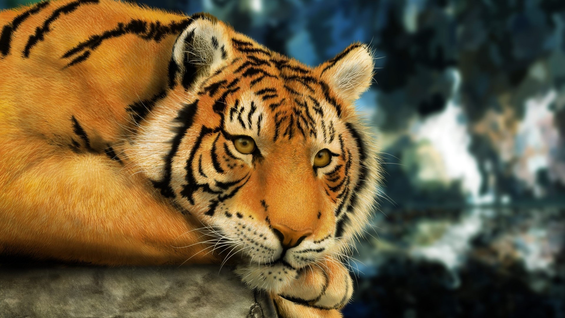 Bengali Tiger resting on a rock HD Wallpaper