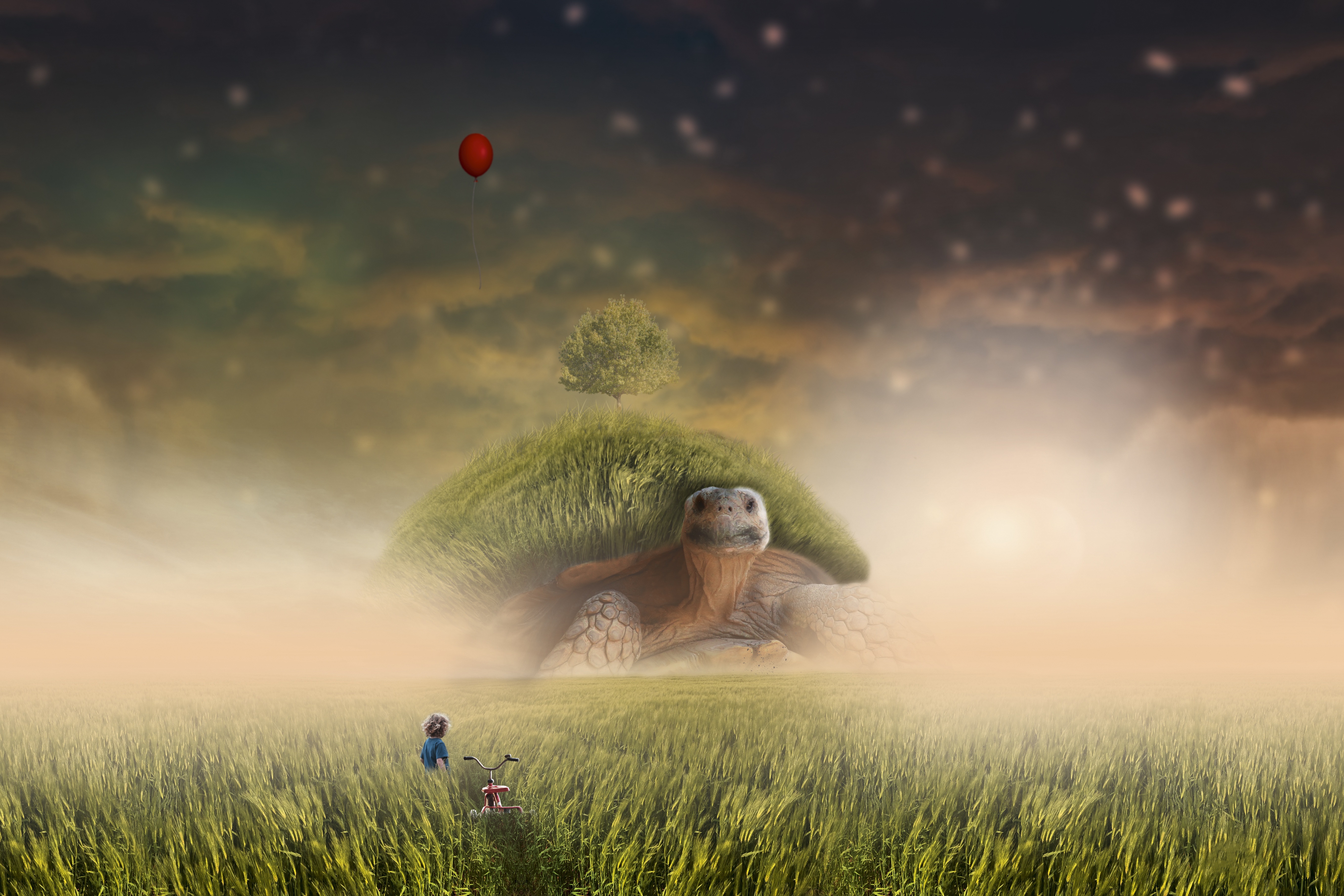 Turtle, Grass, Dream, Fantasy, Kid, 5K HD Wallpaper