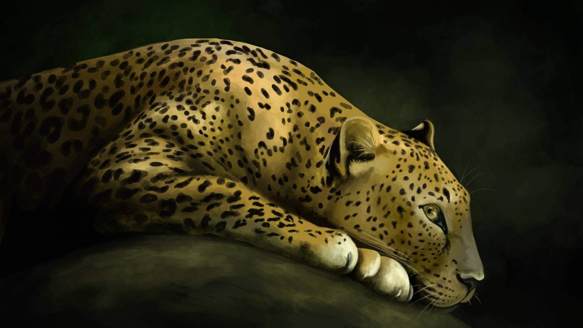 Leopard resting on a dark background HD Wallpaper
