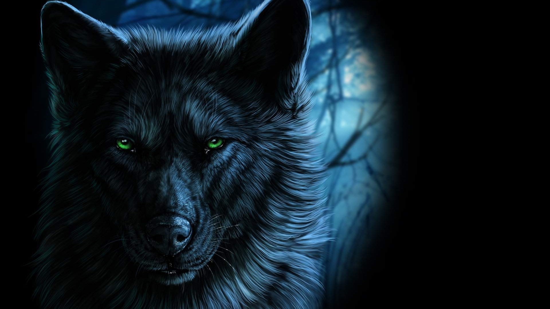 Black wolf with green eyes in a dark forest HD Wallpaper