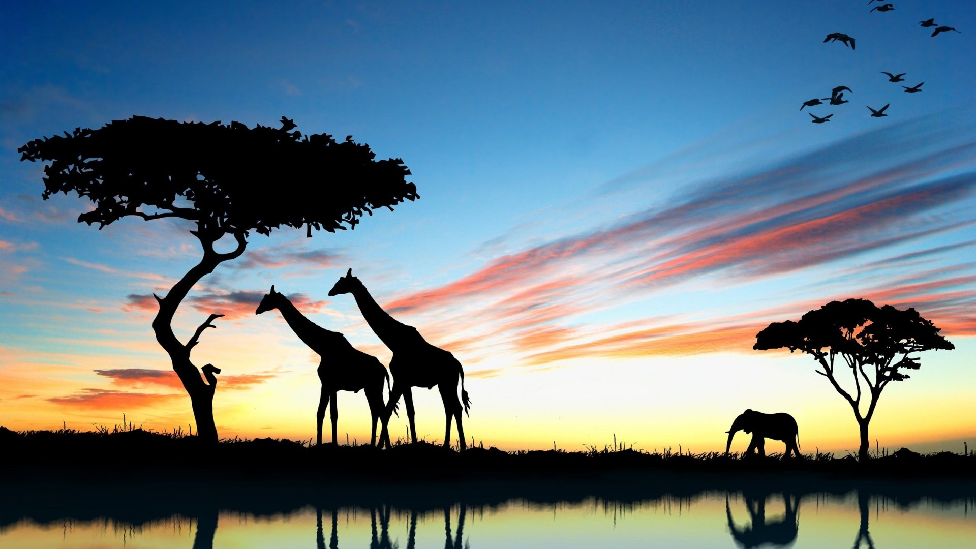African Safari Sunset with Giraffes and Elephant HD Wallpaper