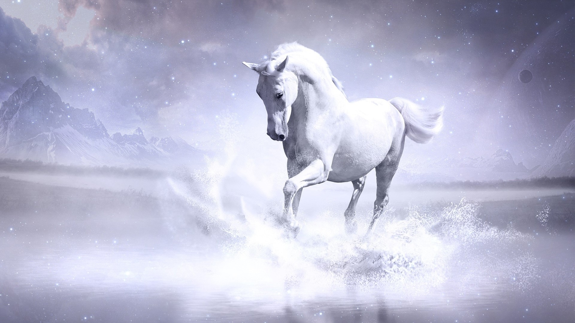 White Horse Running Through Water HD Wallpaper
