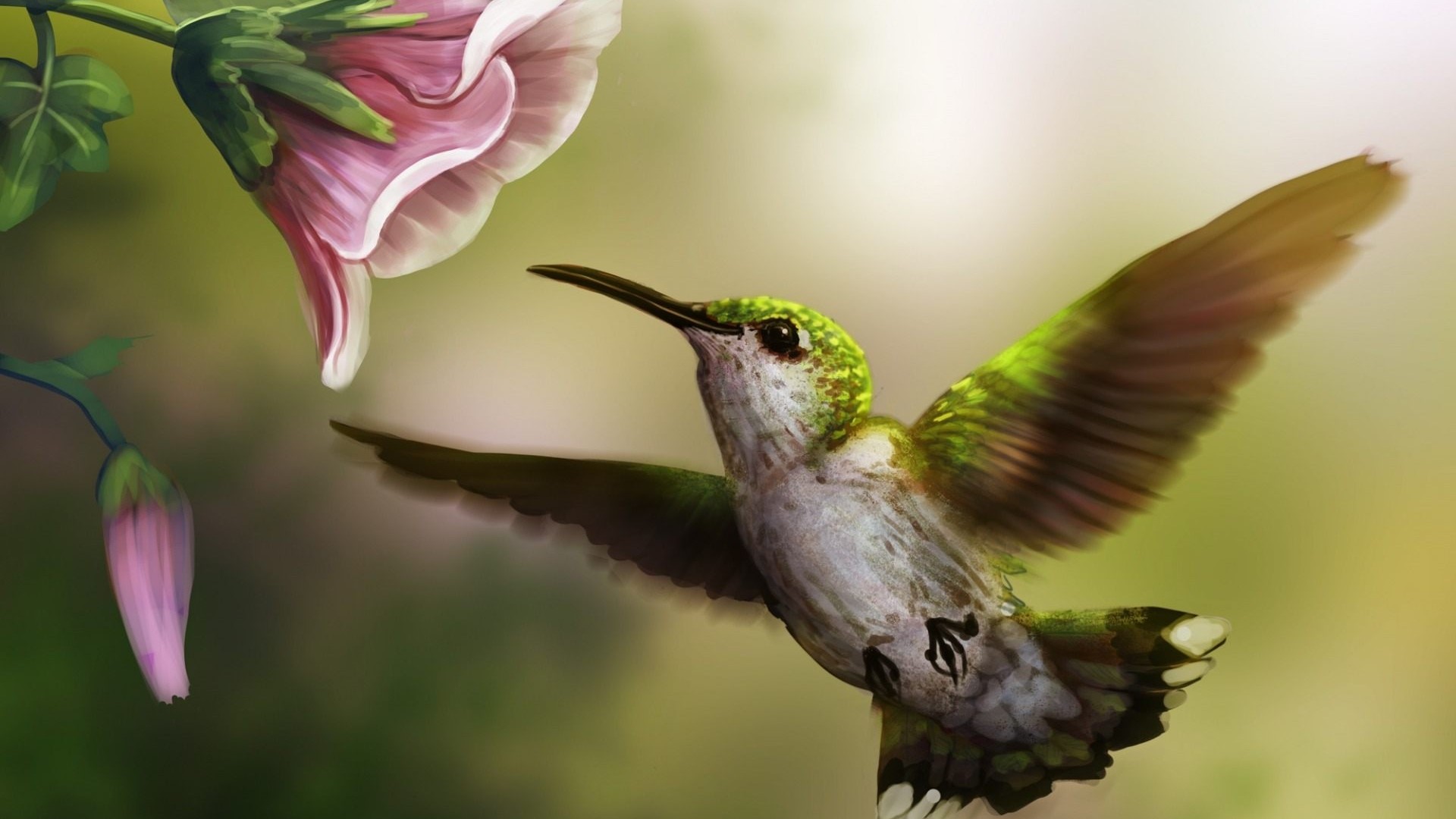 Hummingbird near a pink flower HD Wallpaper