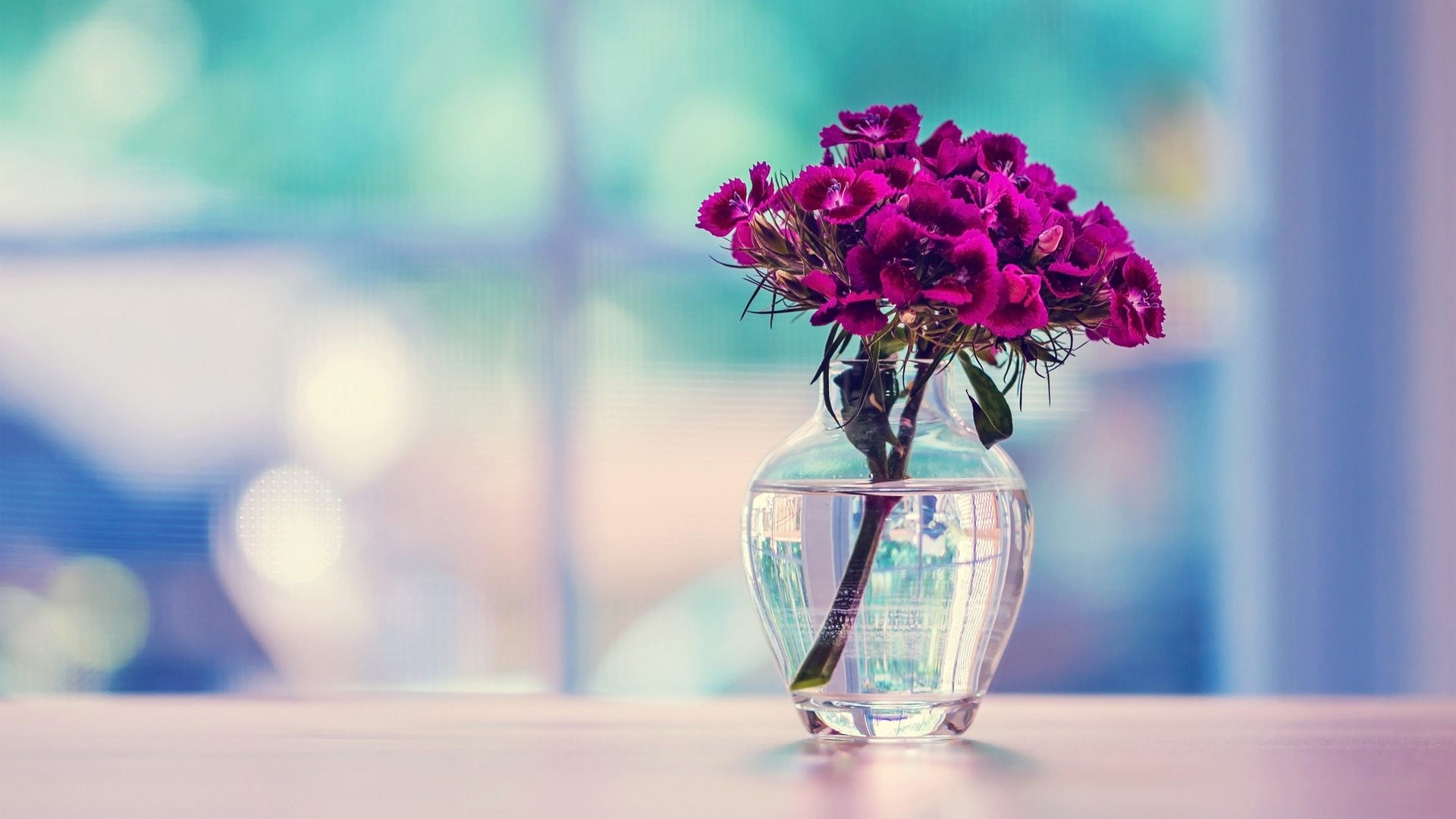 Purple flowers in a glass vase HD Wallpaper