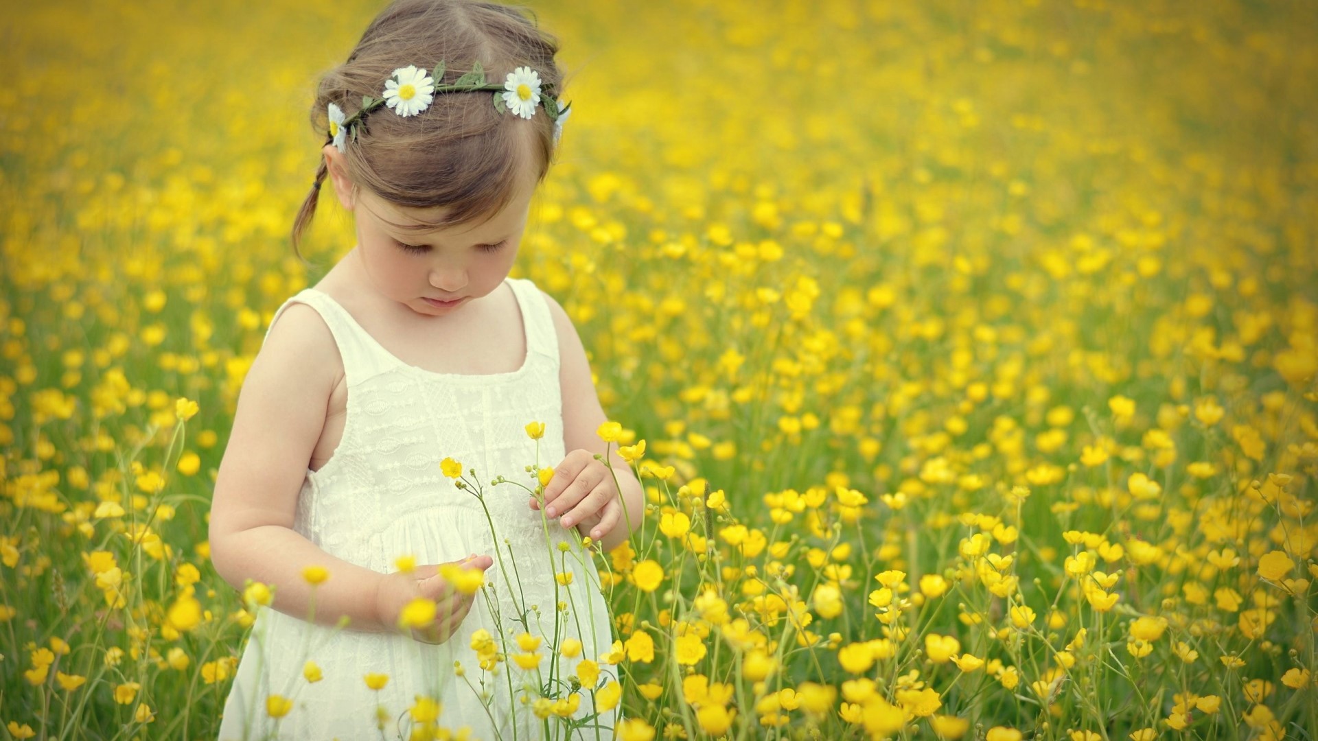 Cute girl in a field of yellow flowers HD Wallpaper
