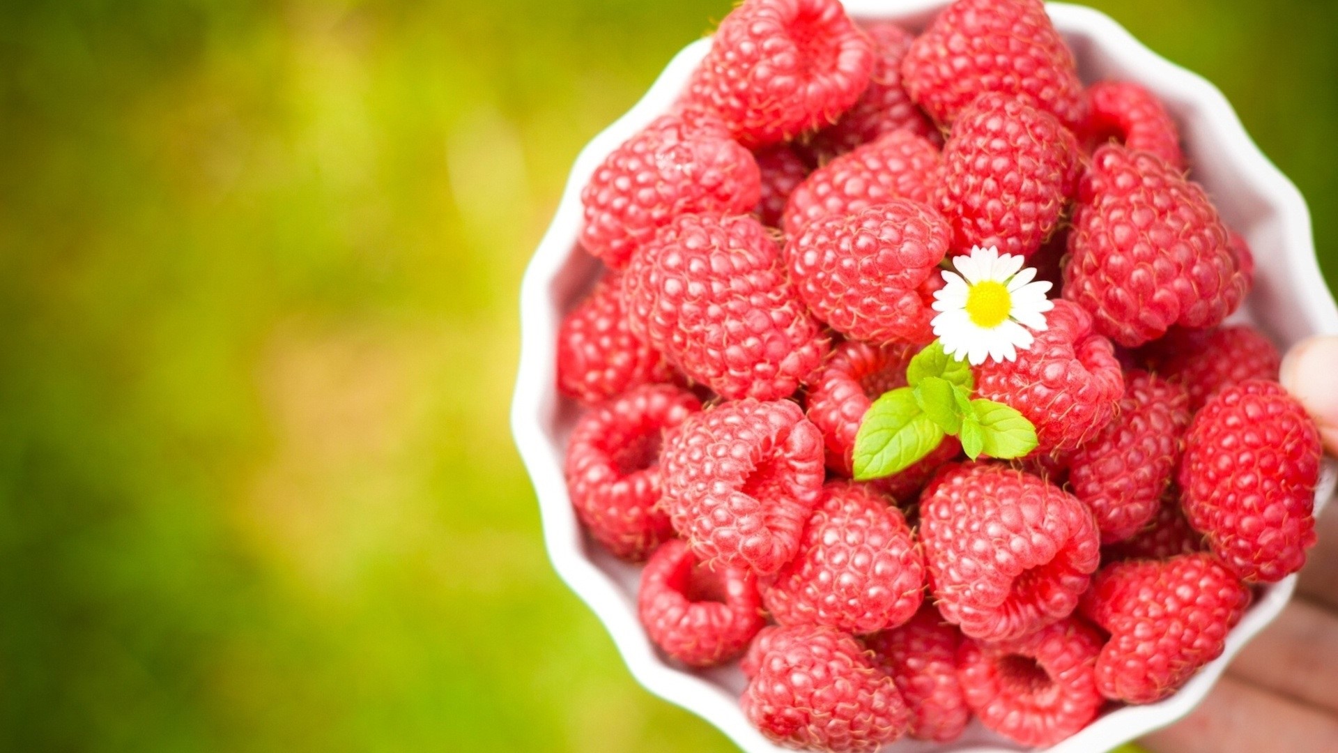 Bowl of Fresh Raspberries with Daisy and Mint HD Wallpaper