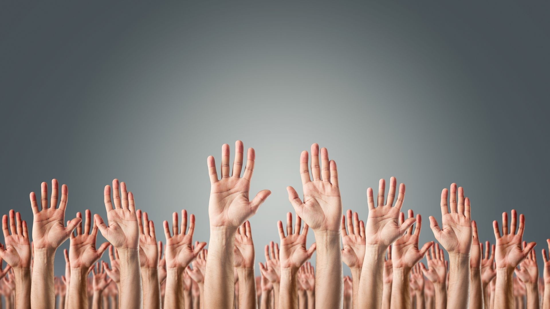 Many hands raised in a crowd HD Wallpaper