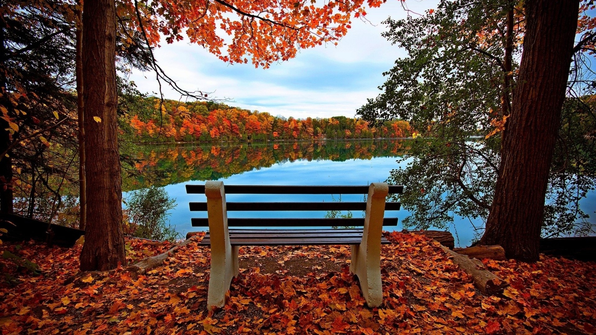 Autumn leaves bench by the lake HD Wallpaper