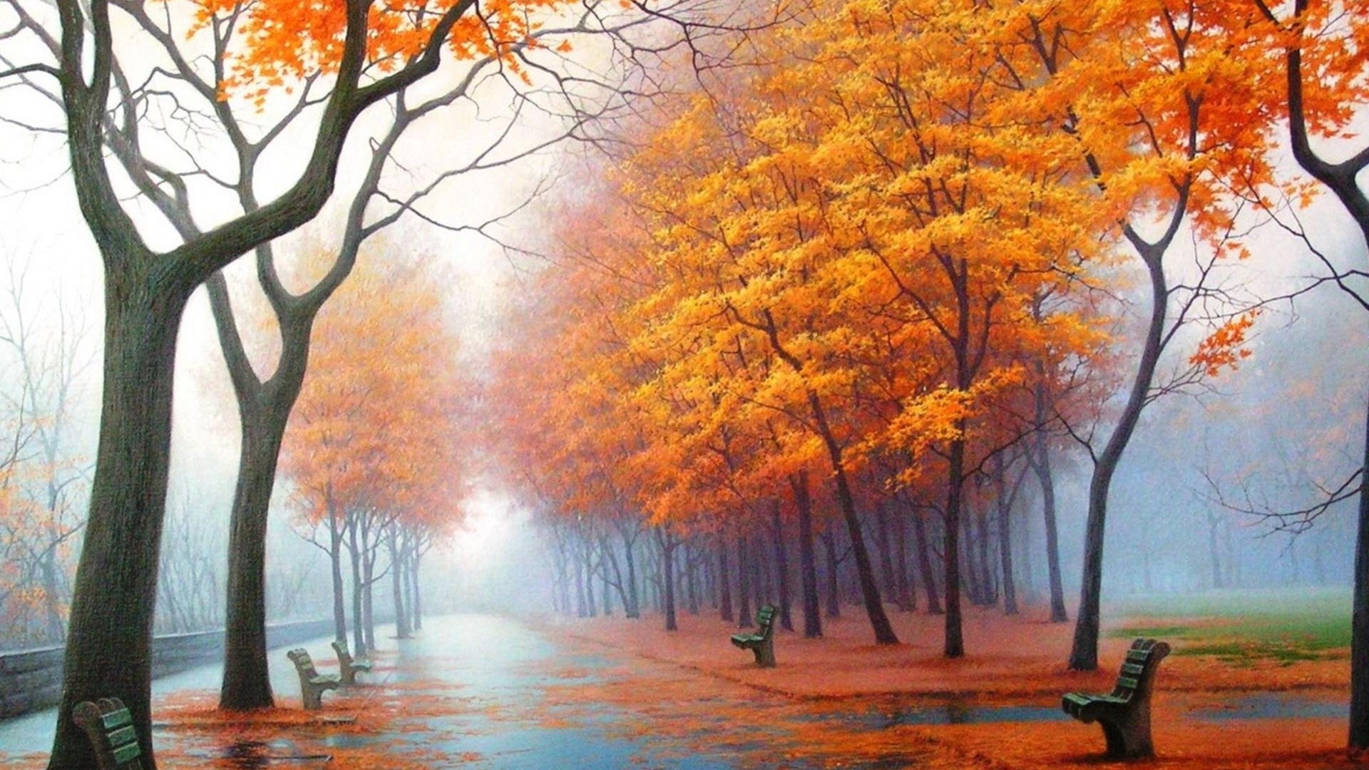 Autumn park with benches and trees in fog HD Wallpaper