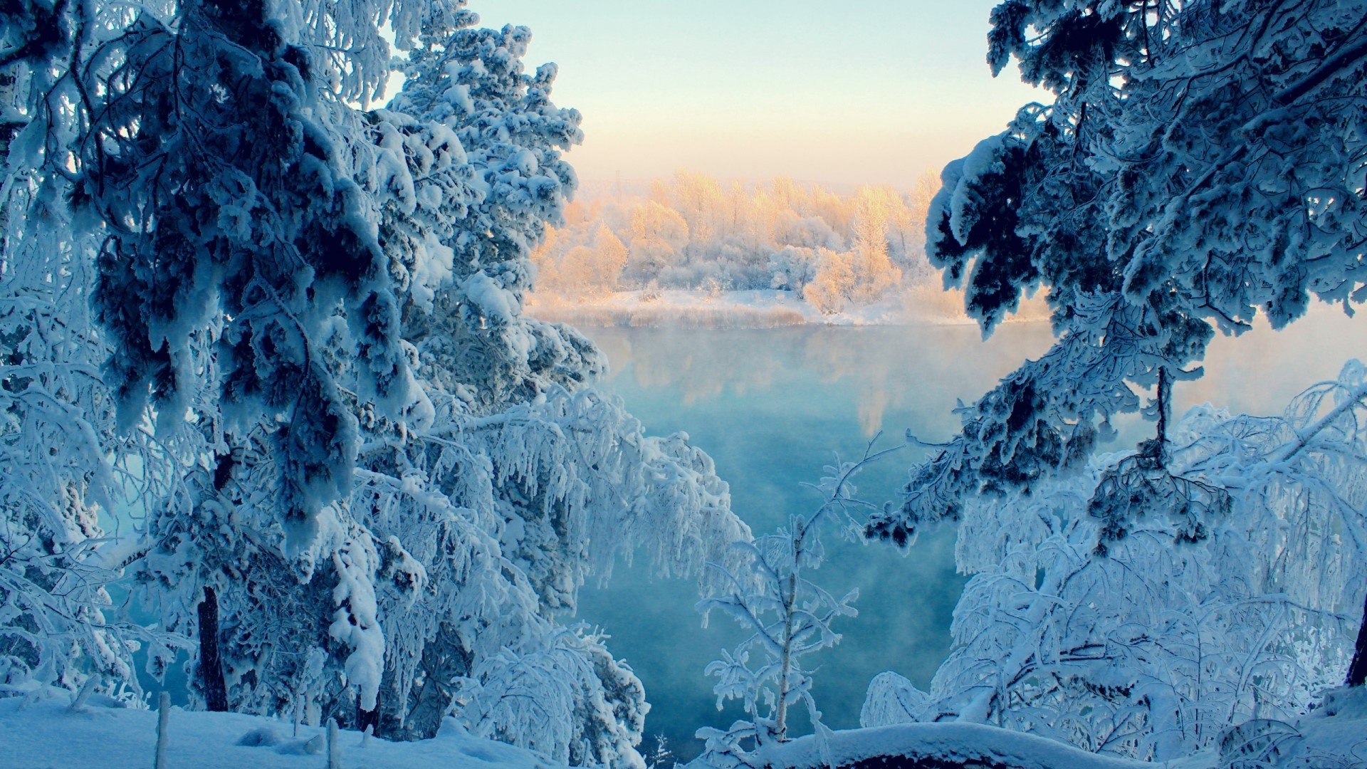 Frozen lake and snow-covered trees in winter HD Wallpaper