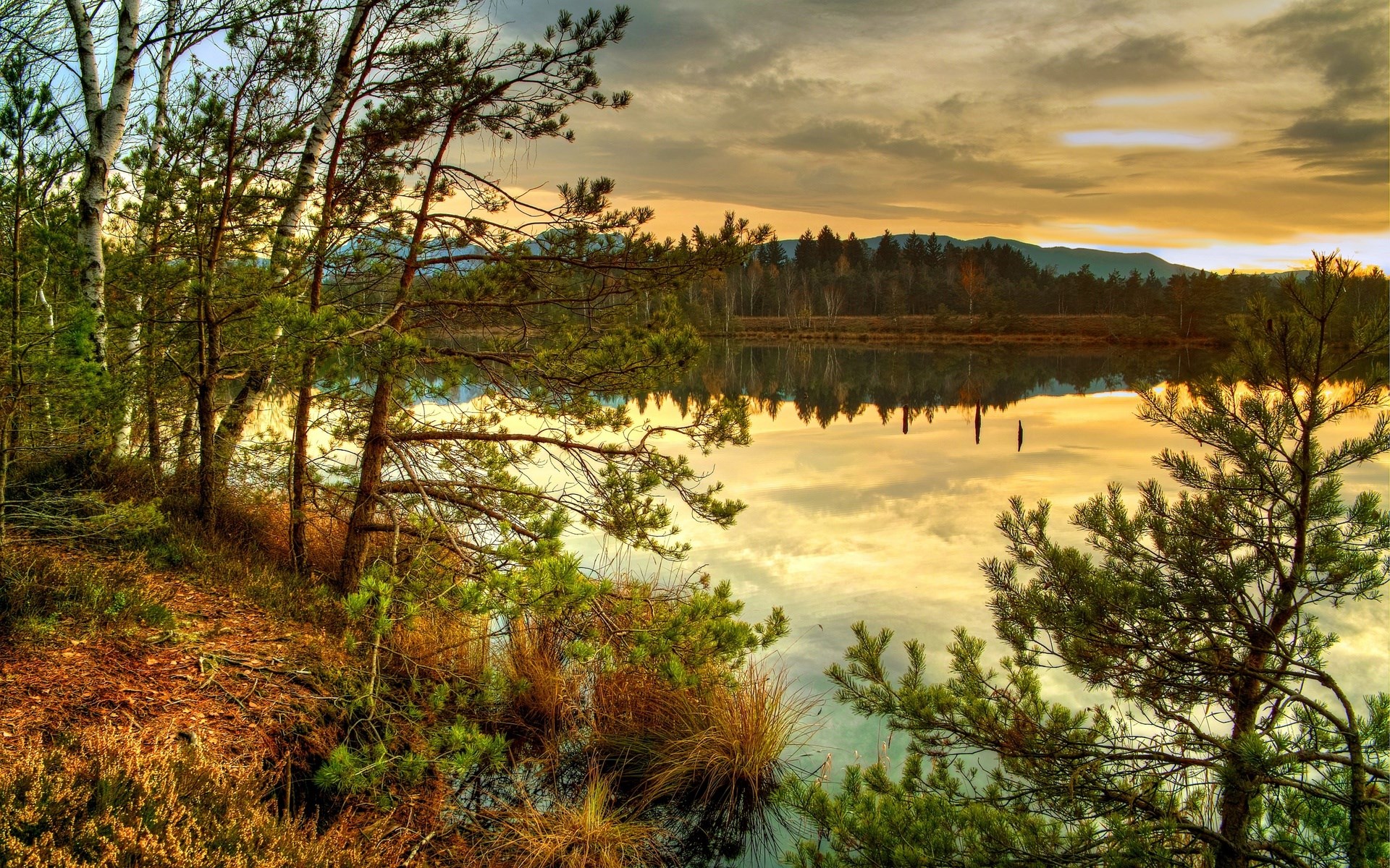 Trees and lake at sunset with reflections HD Wallpaper