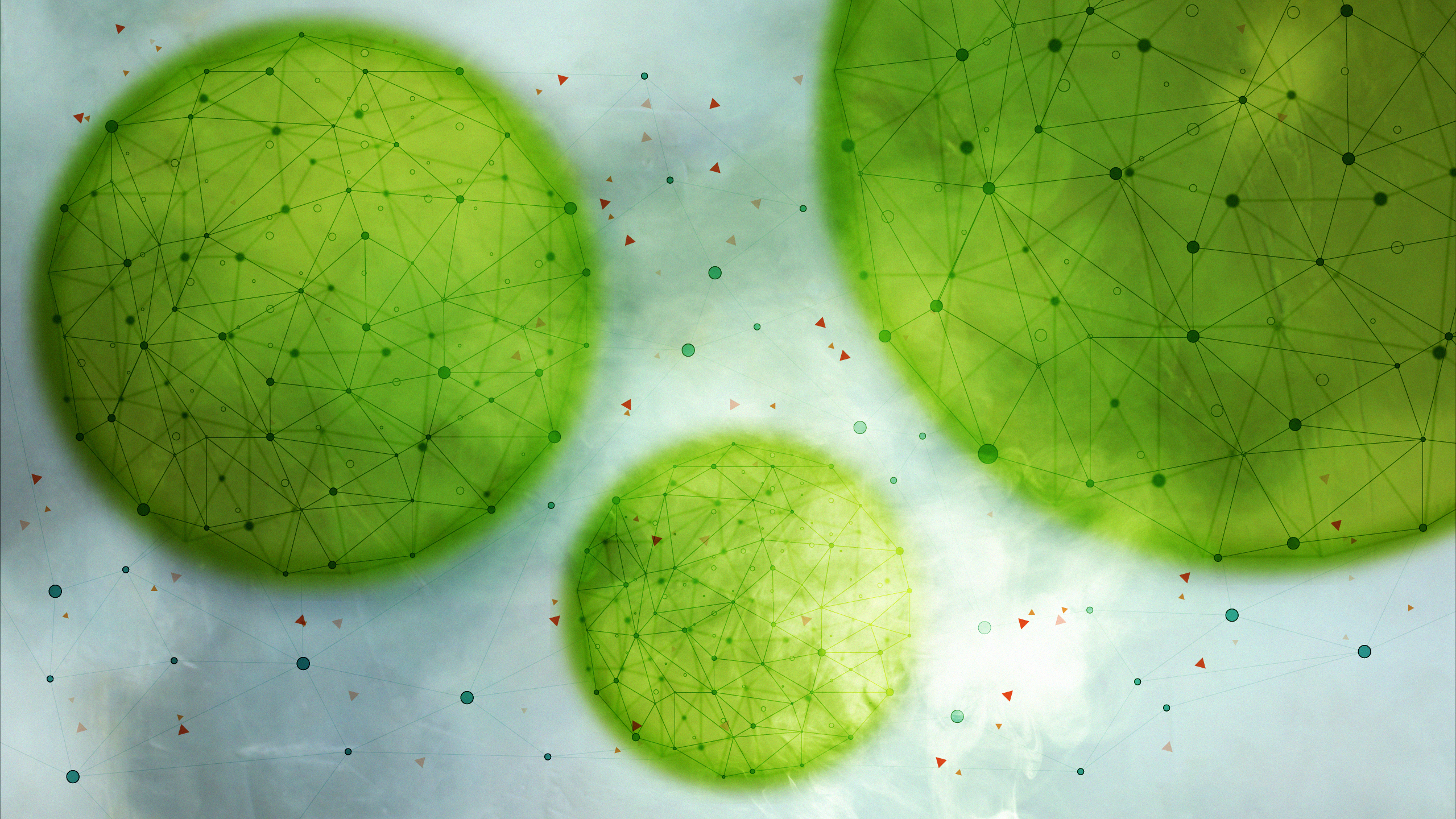 Green spheres with network connections HD Wallpaper