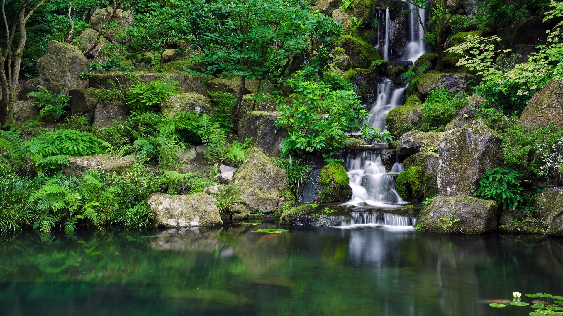 Waterfall cascading into a tranquil lake surrounded by rocks and greenery HD Wallpaper