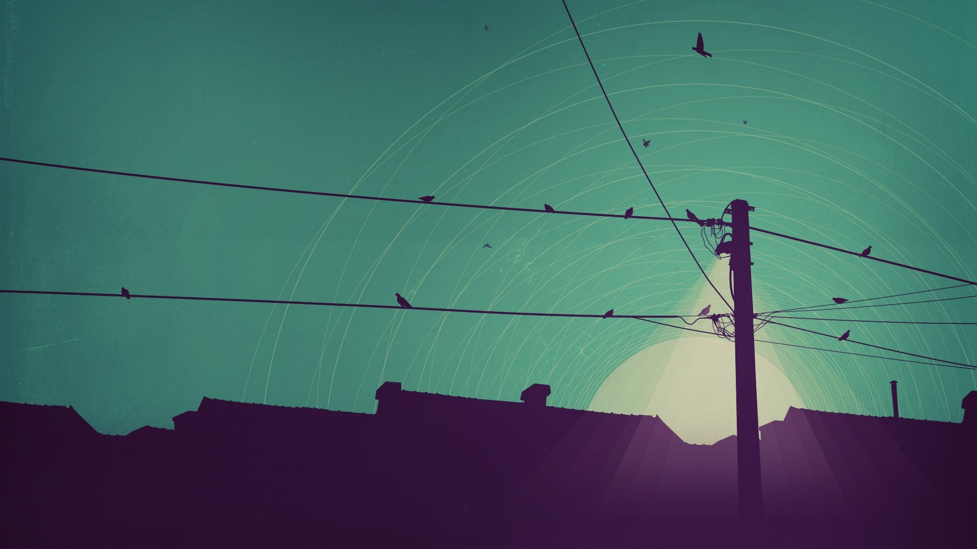 Birds on wires near electricity pole over rooftops HD Wallpaper