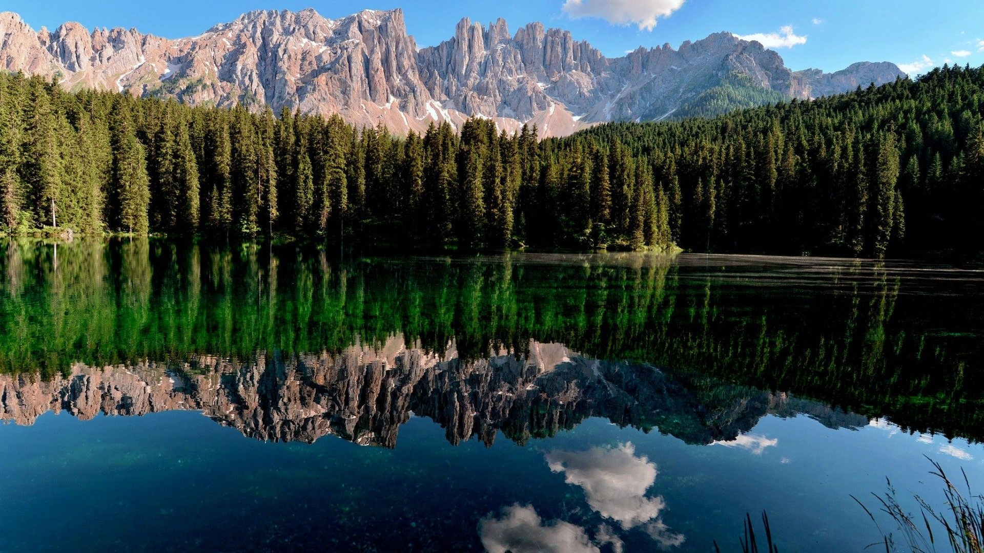 Forest Lake Reflection with Mountains HD Wallpaper