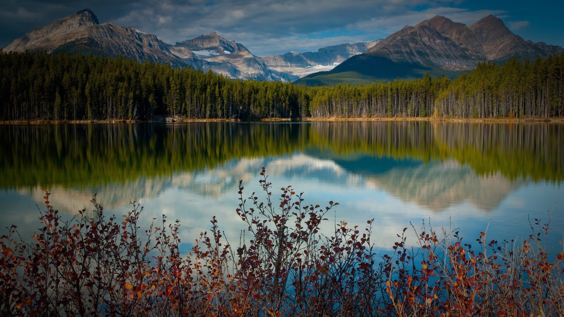 Forest Lake with Mountains and Reflection HD Wallpaper
