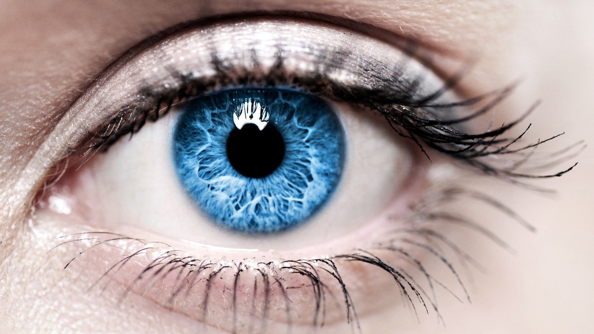 Close-up of a Blue Eye HD Wallpaper