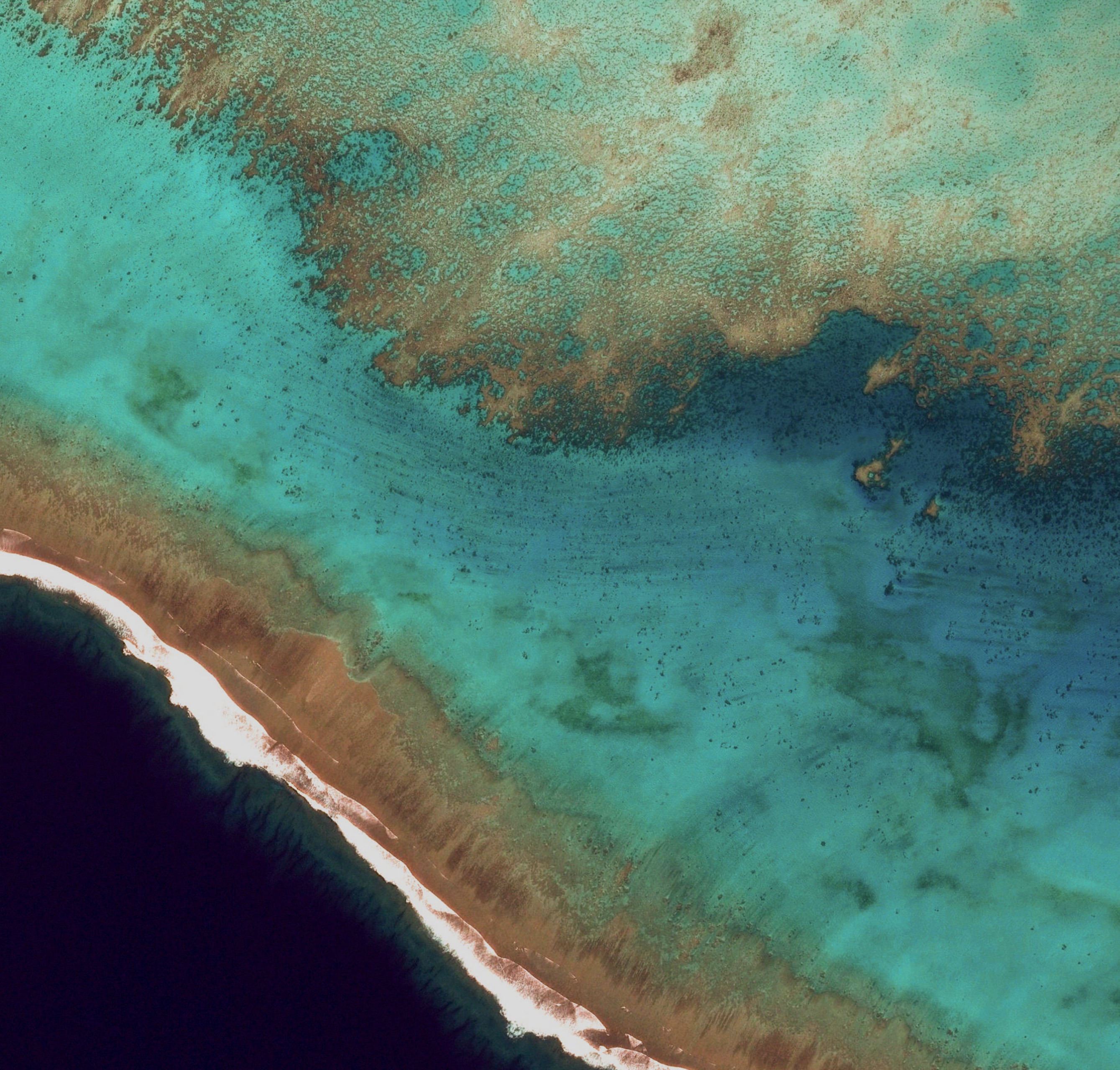Aerial view of a coral reef and ocean HD Wallpaper