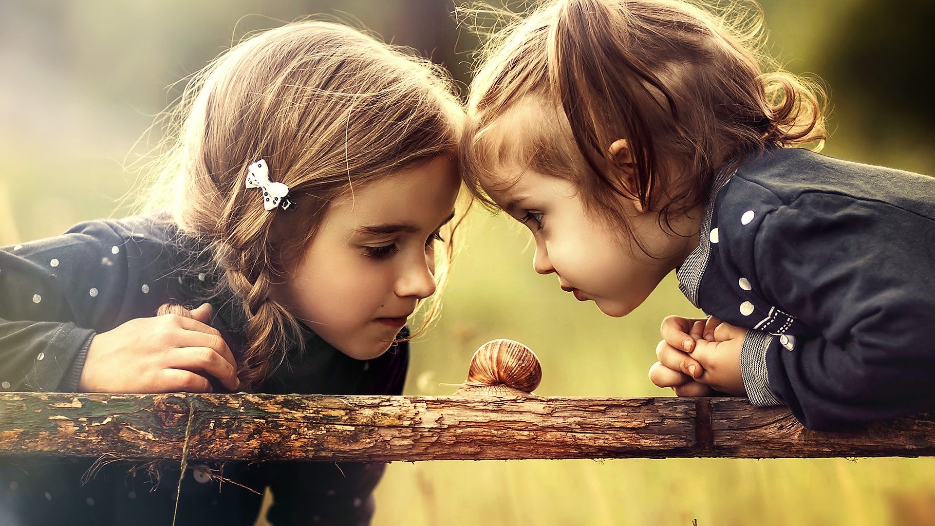 Two girls looking at a snail on a wooden fence HD Wallpaper