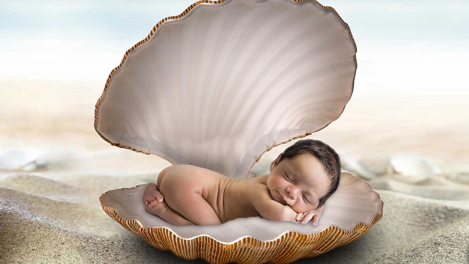 Baby sleeping in a seashell on the beach HD Wallpaper