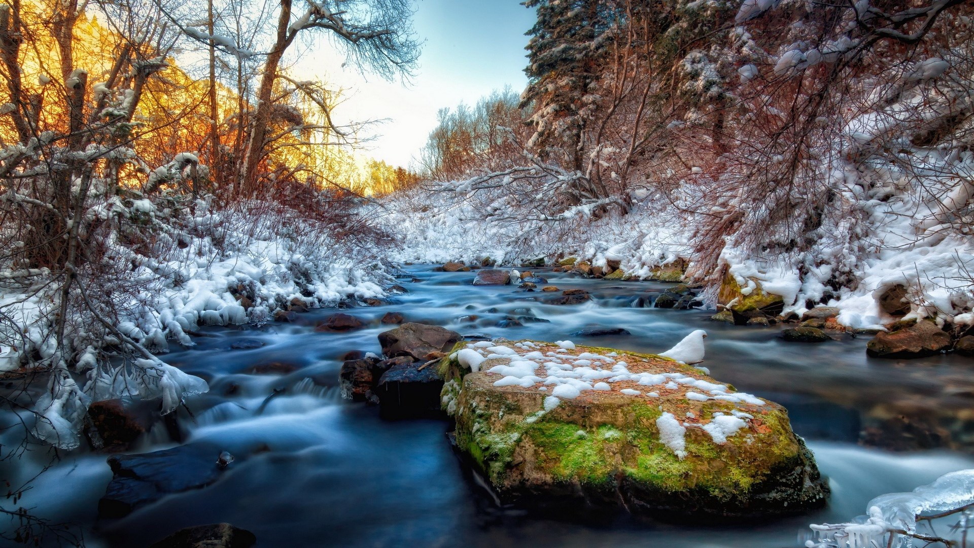 Winter stream with snow-covered trees and rocks HD Wallpaper