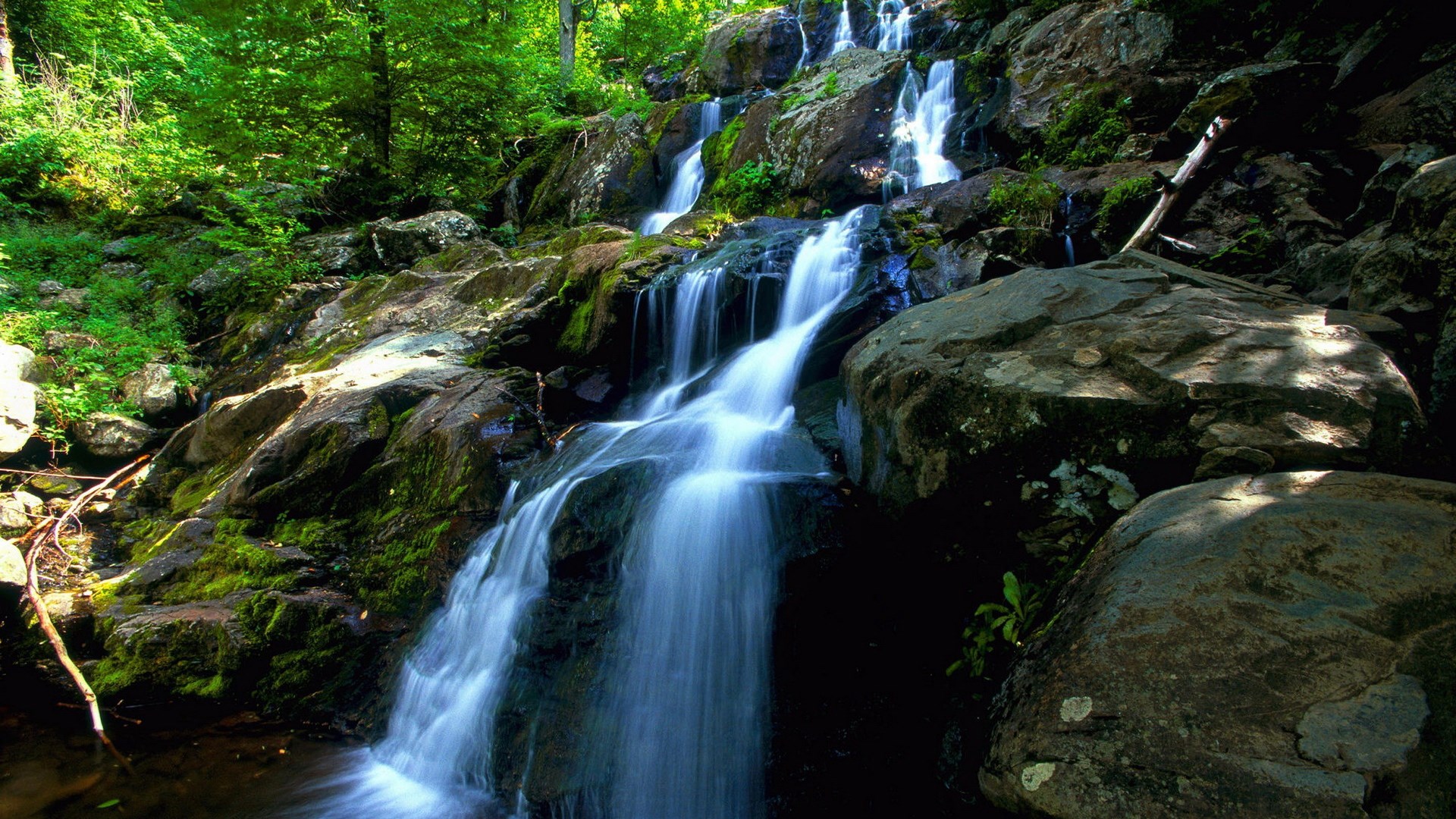 Waterfall cascading over mossy rocks in a forest HD Wallpaper