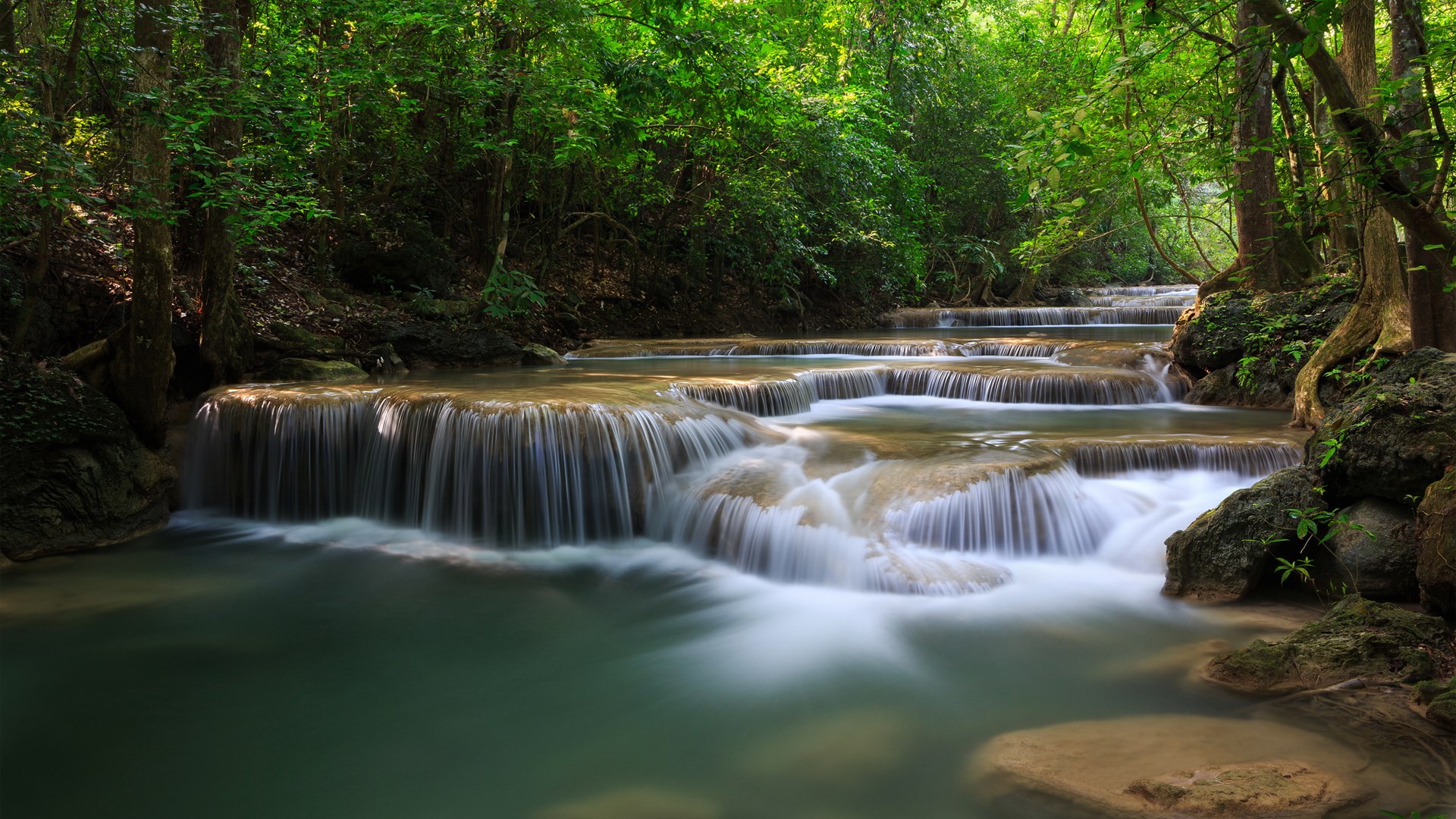 Tiered waterfall flowing through a lush green forest HD Wallpaper