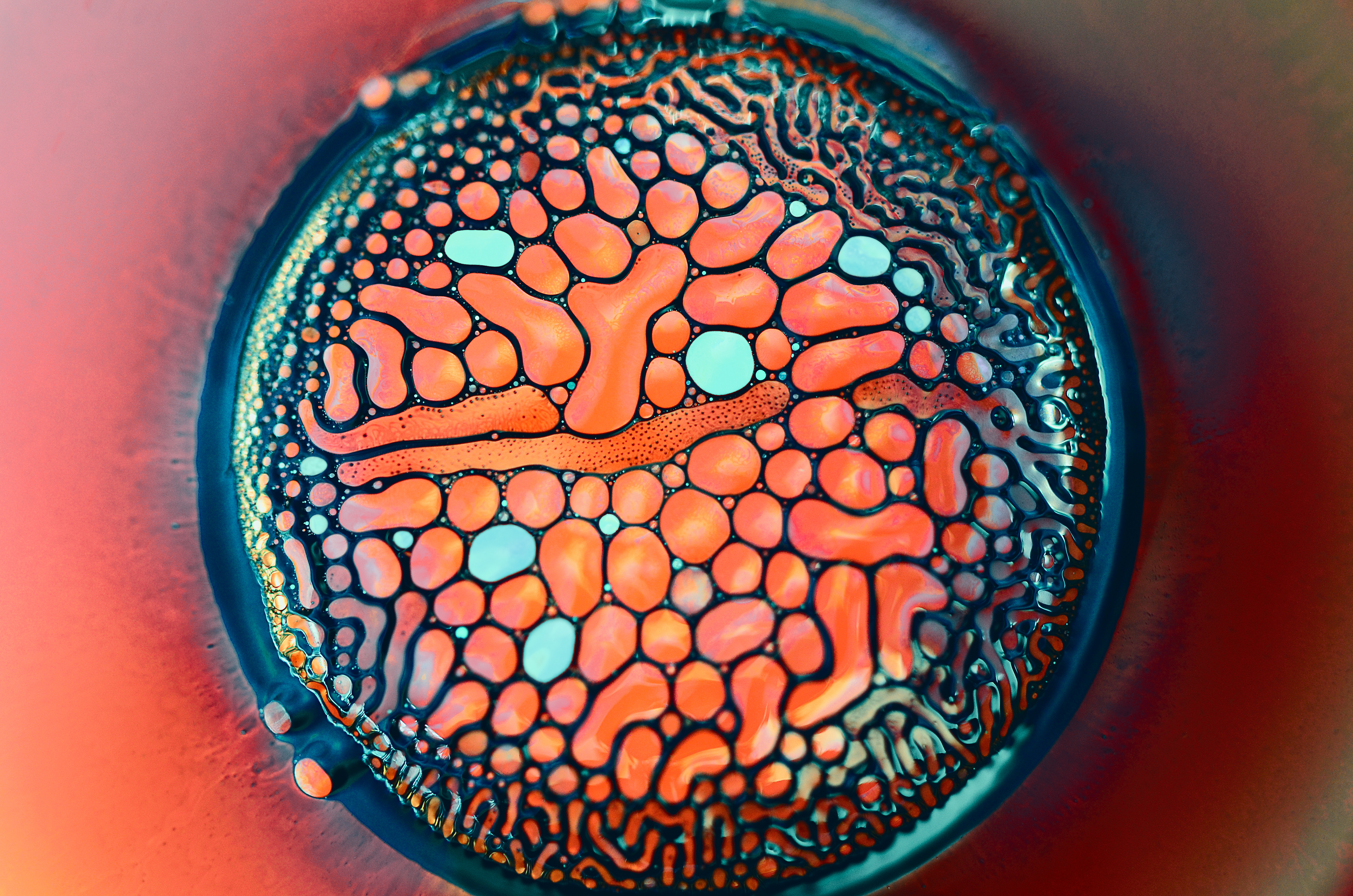 Metalliferous Fluidic 4K Abstract HD Wallpaper