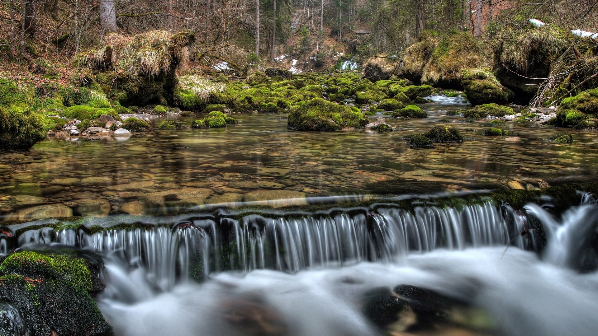 Mossy rocks in a forest stream with a small waterfall HD Wallpaper