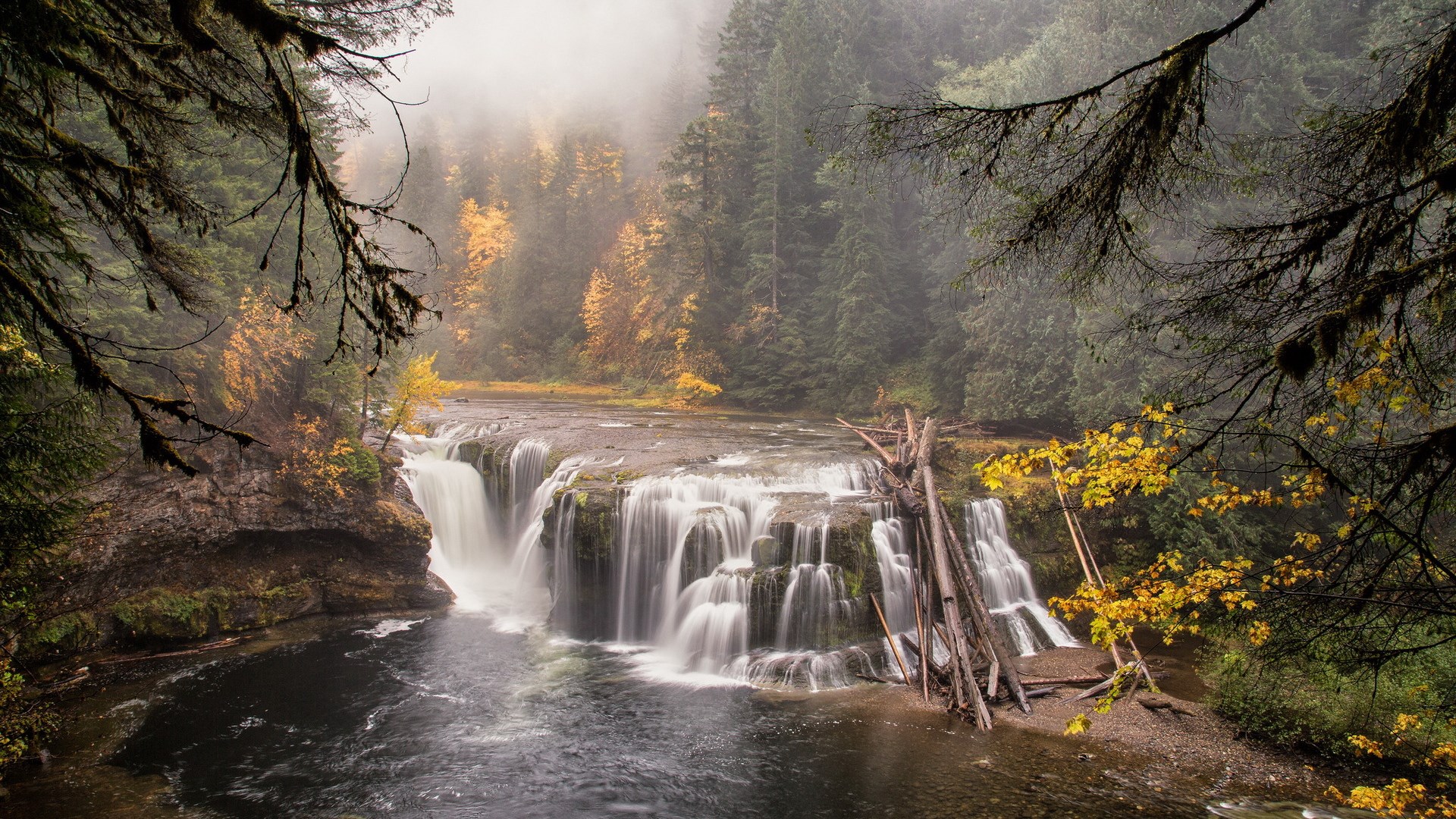 Waterfall in a misty forest during autumn HD Wallpaper